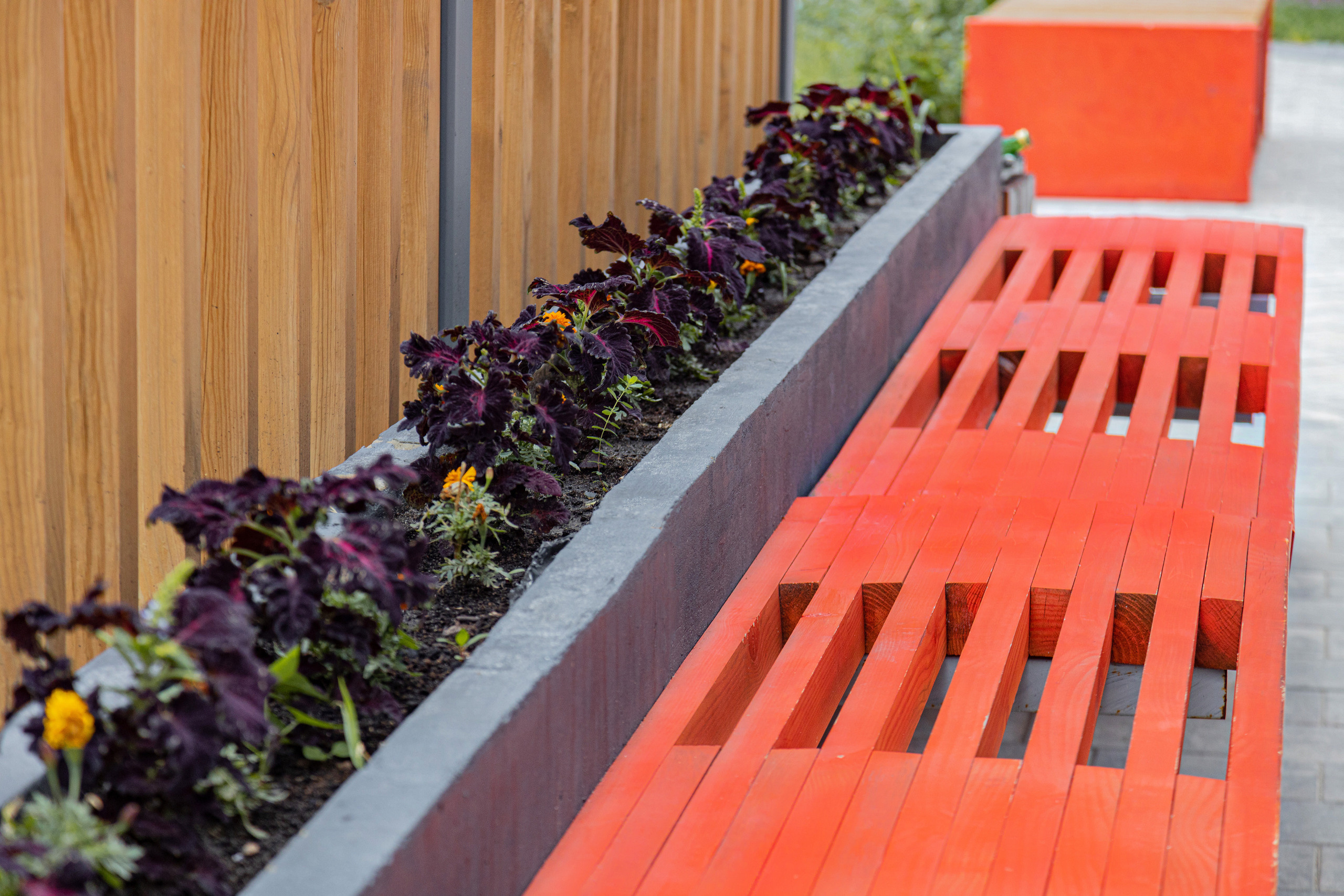 ЖК 5 Столиц, ландшафтный дизайн. Фотограф, видеограф