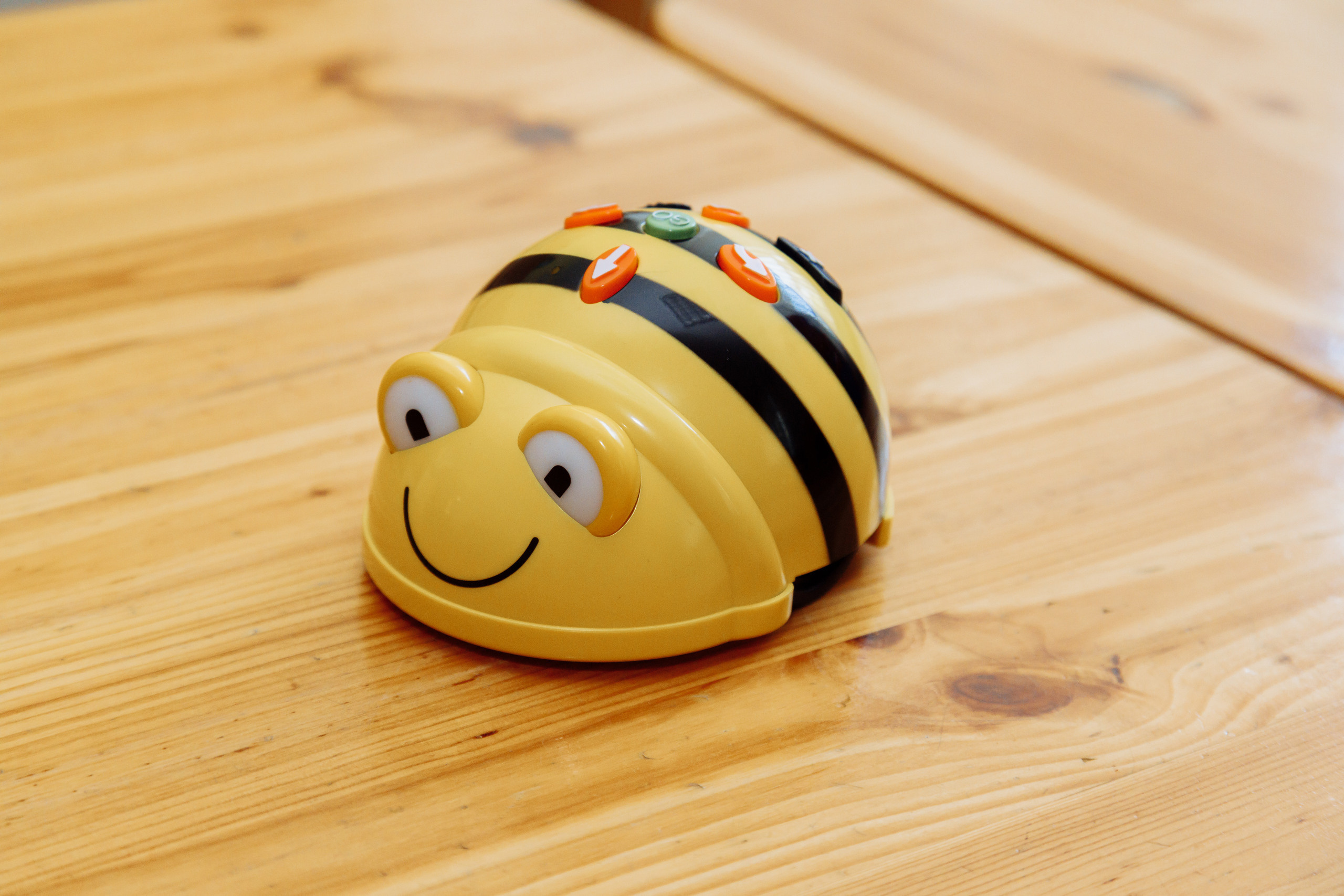 Детский обучающий центр. Фотограф, видеограф