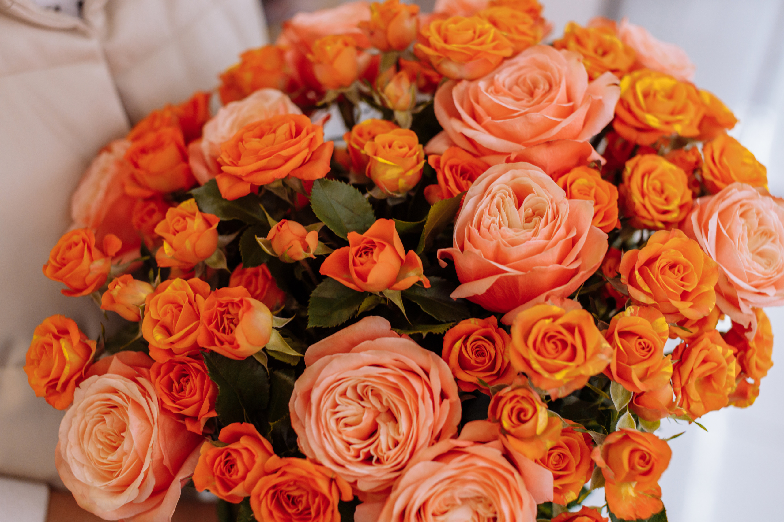 Цветочный магазин «Шамса». Фотограф, видеограф