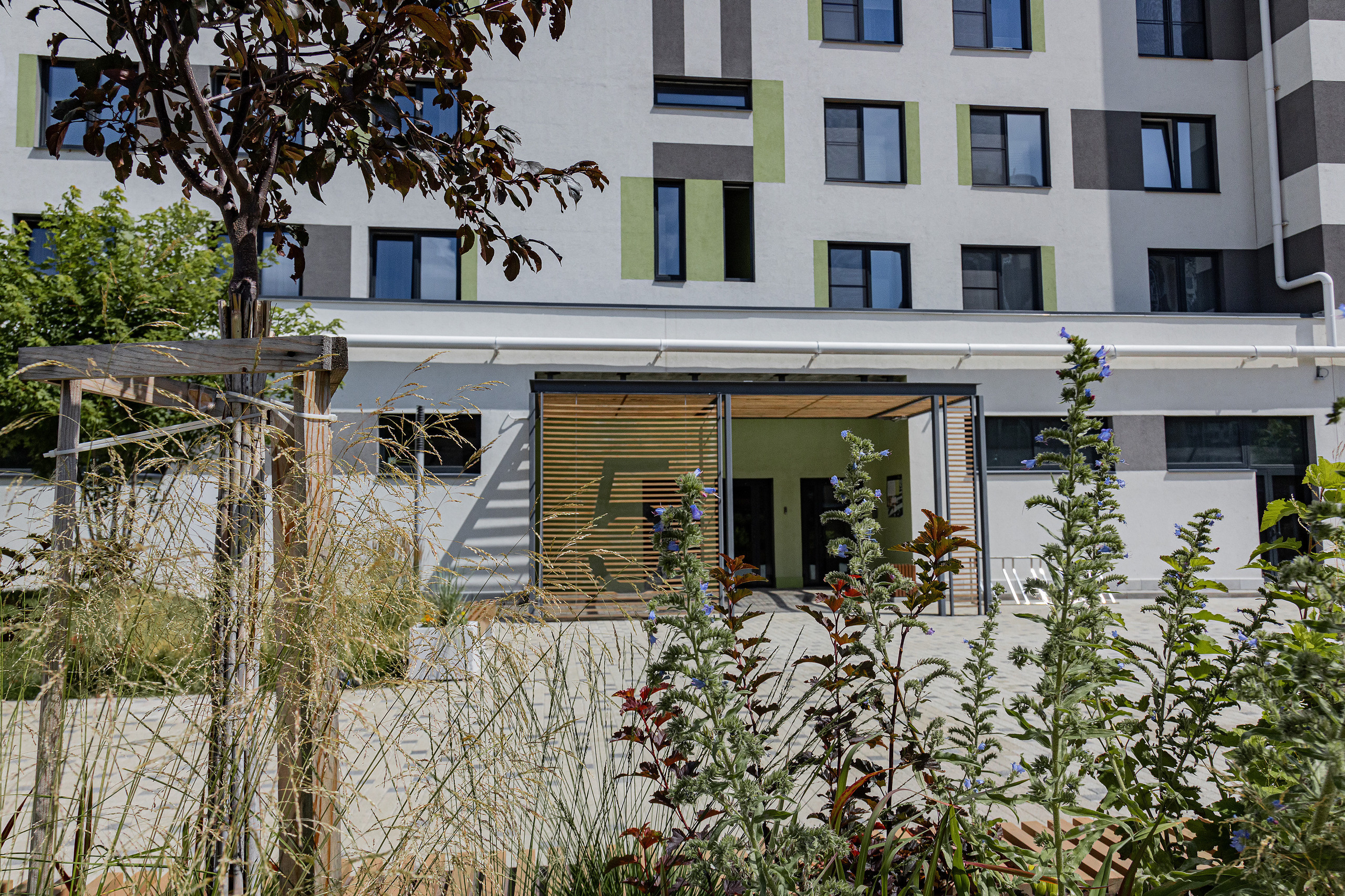 ЖК 5 Столиц, ландшафтный дизайн. Фотограф, видеограф