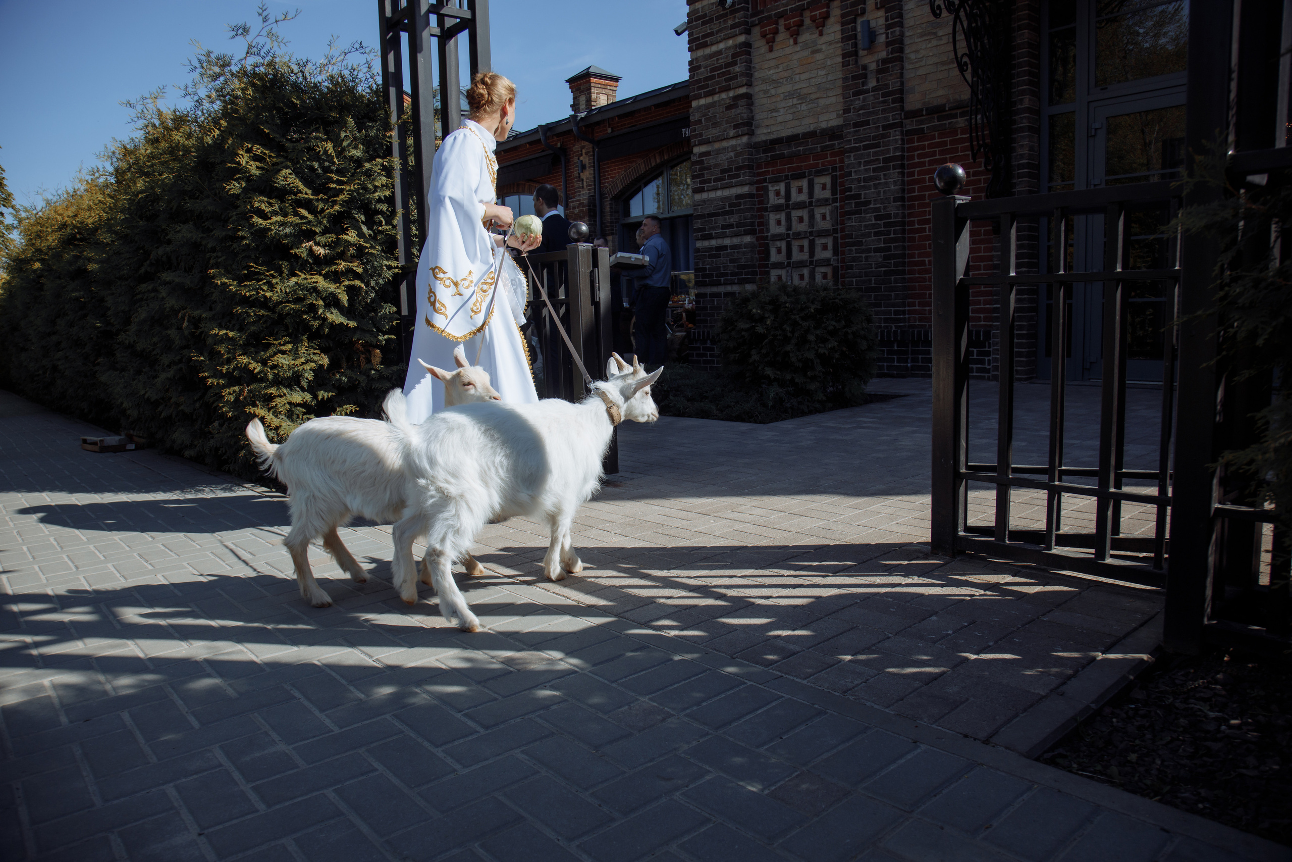 Работа декоратора. Фотограф, видеограф