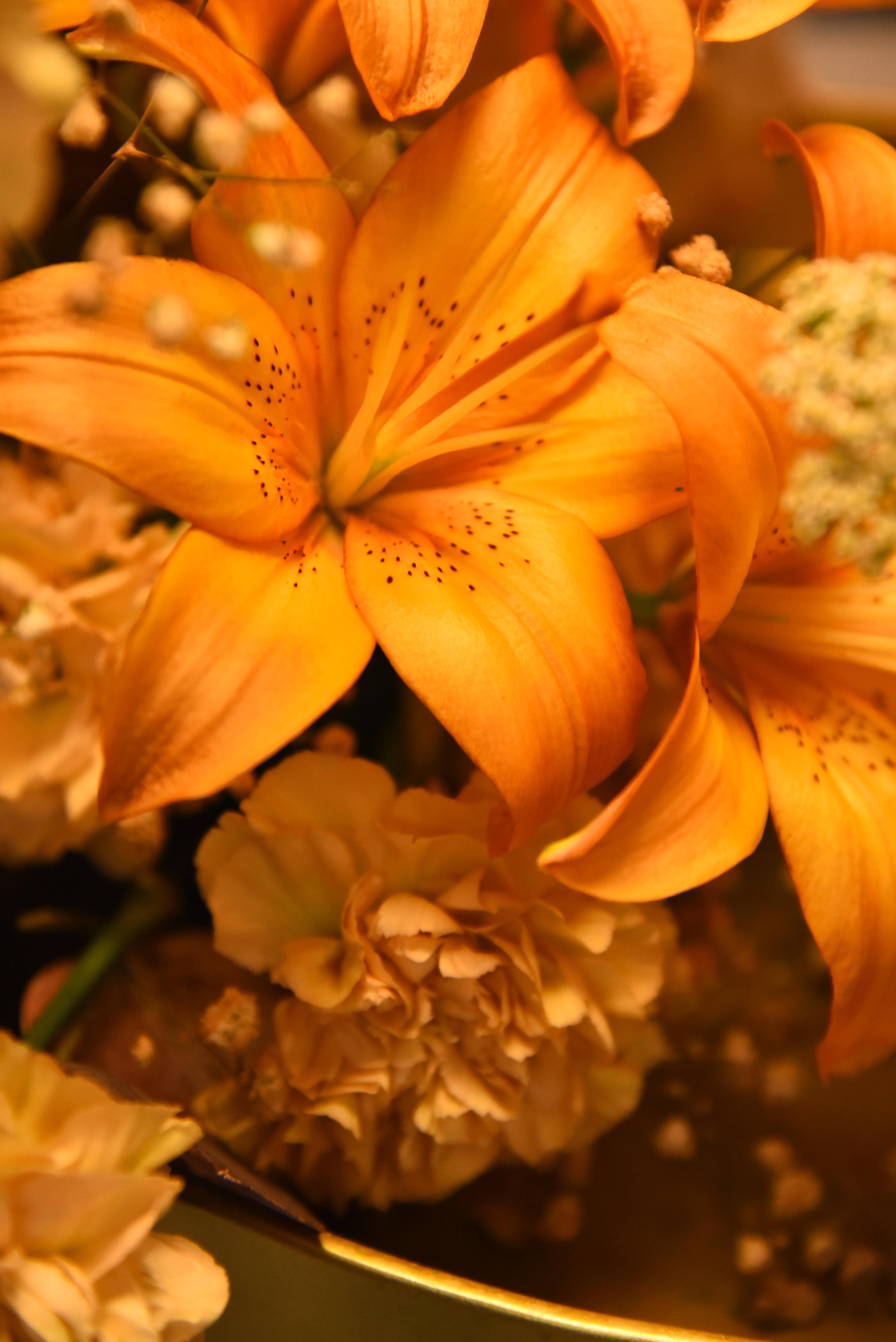 Работа декоратора Юлии Ясаковой. Фотограф, видеограф