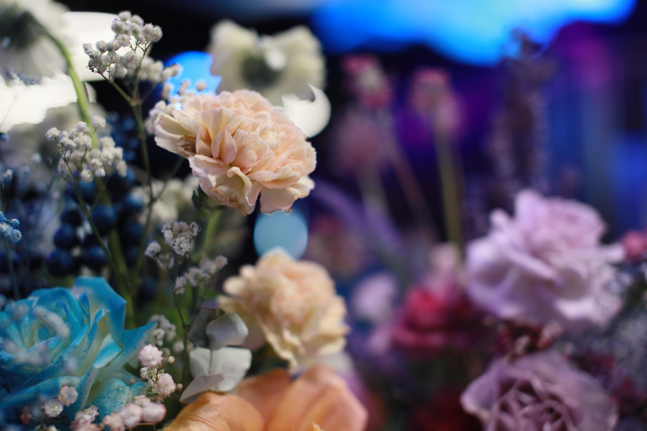 Работа декоратора Юлии Ясаковой. Фотограф, видеограф