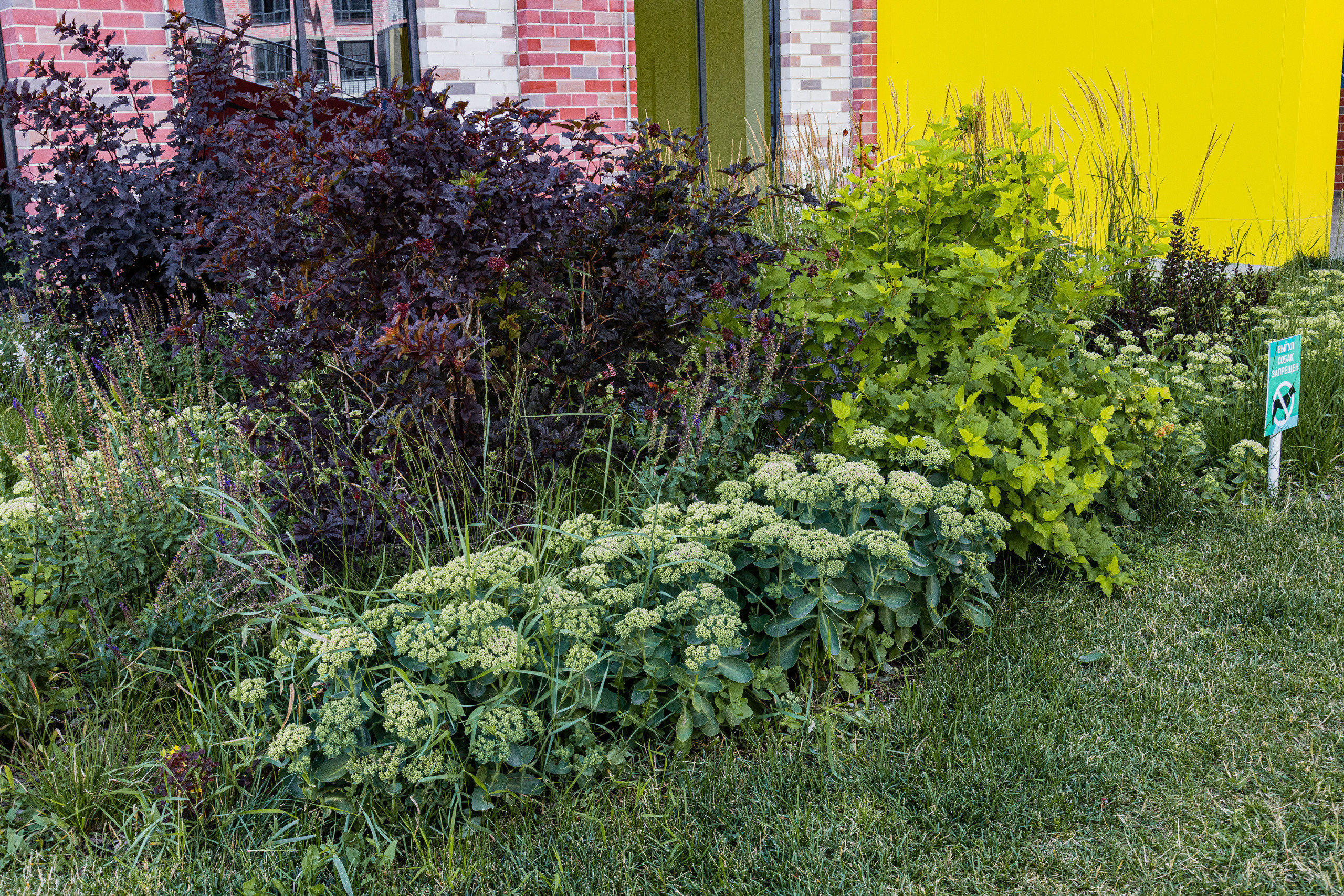 ЖК 5 Столиц, ландшафтный дизайн. Фотограф, видеограф