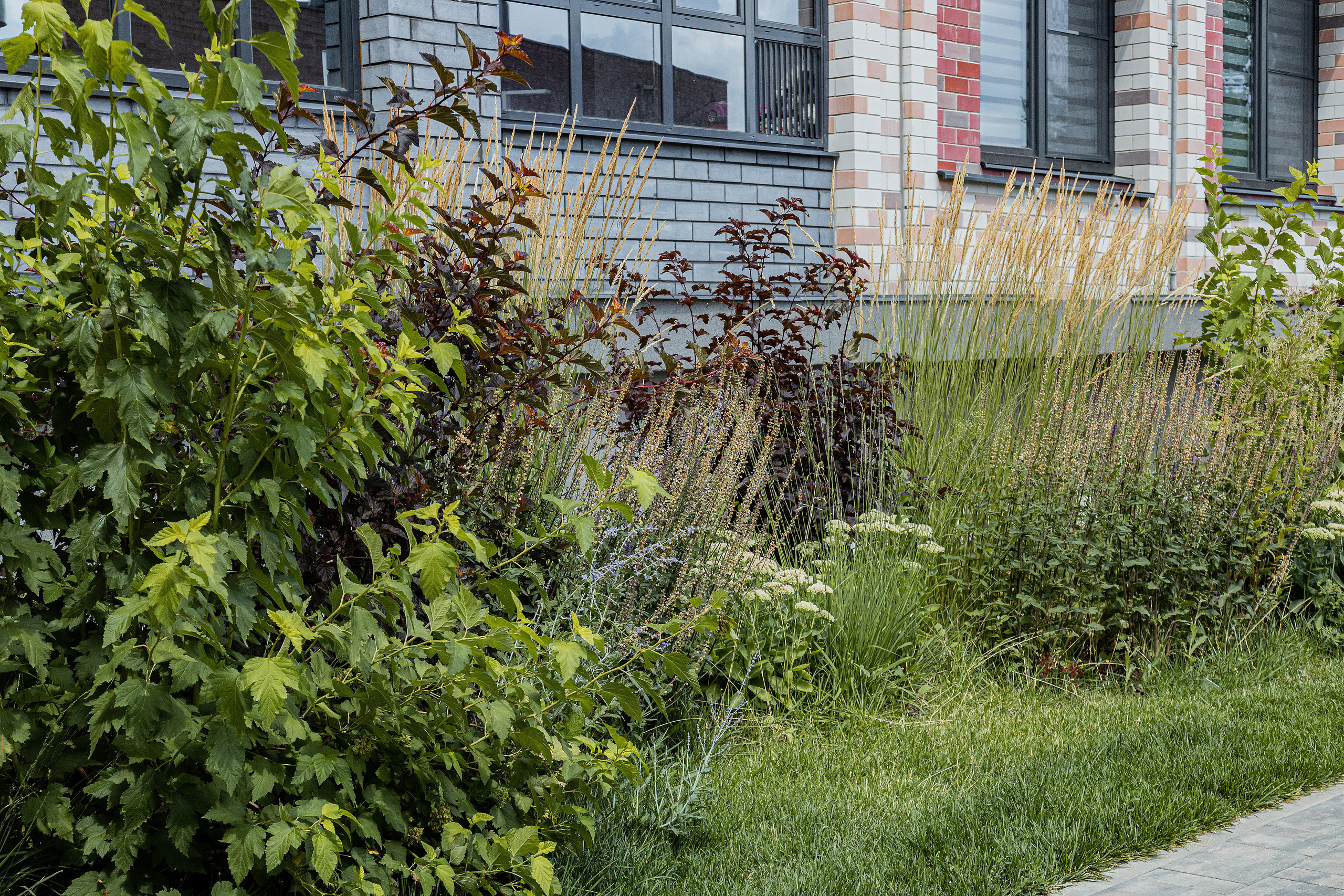 ЖК 5 Столиц, ландшафтный дизайн. Фотограф, видеограф