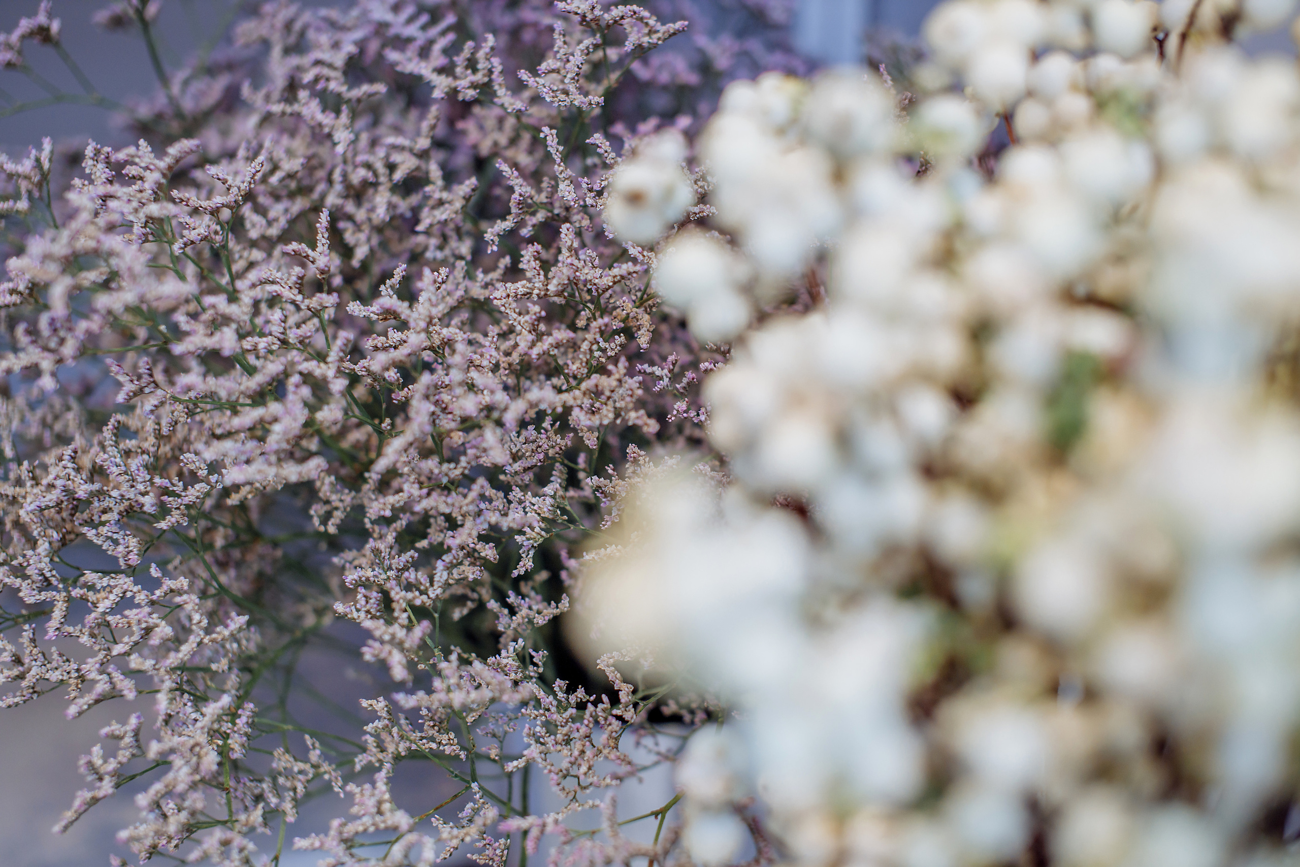 Цветочный магазин «Шамса». Фотограф, видеограф