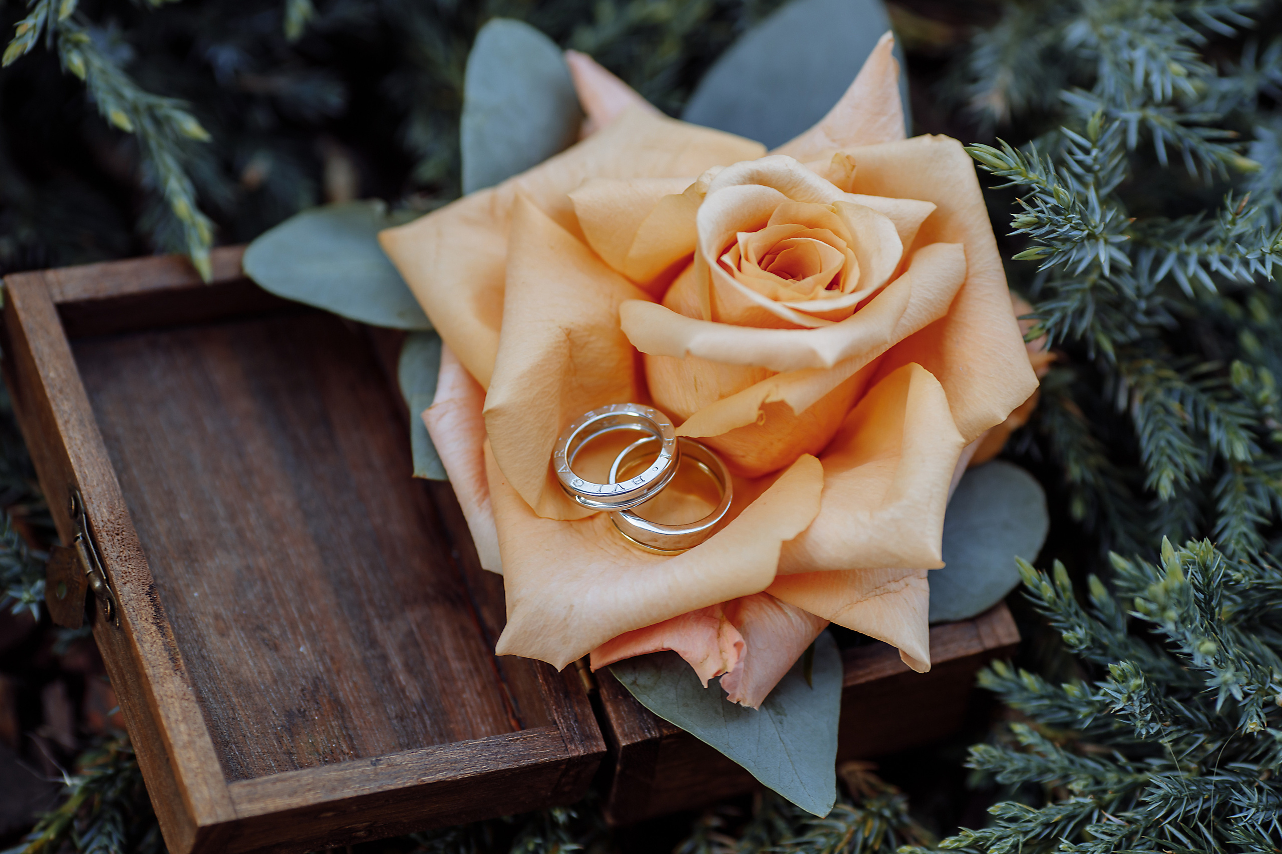 Работа декоратора. Фотограф, видеограф