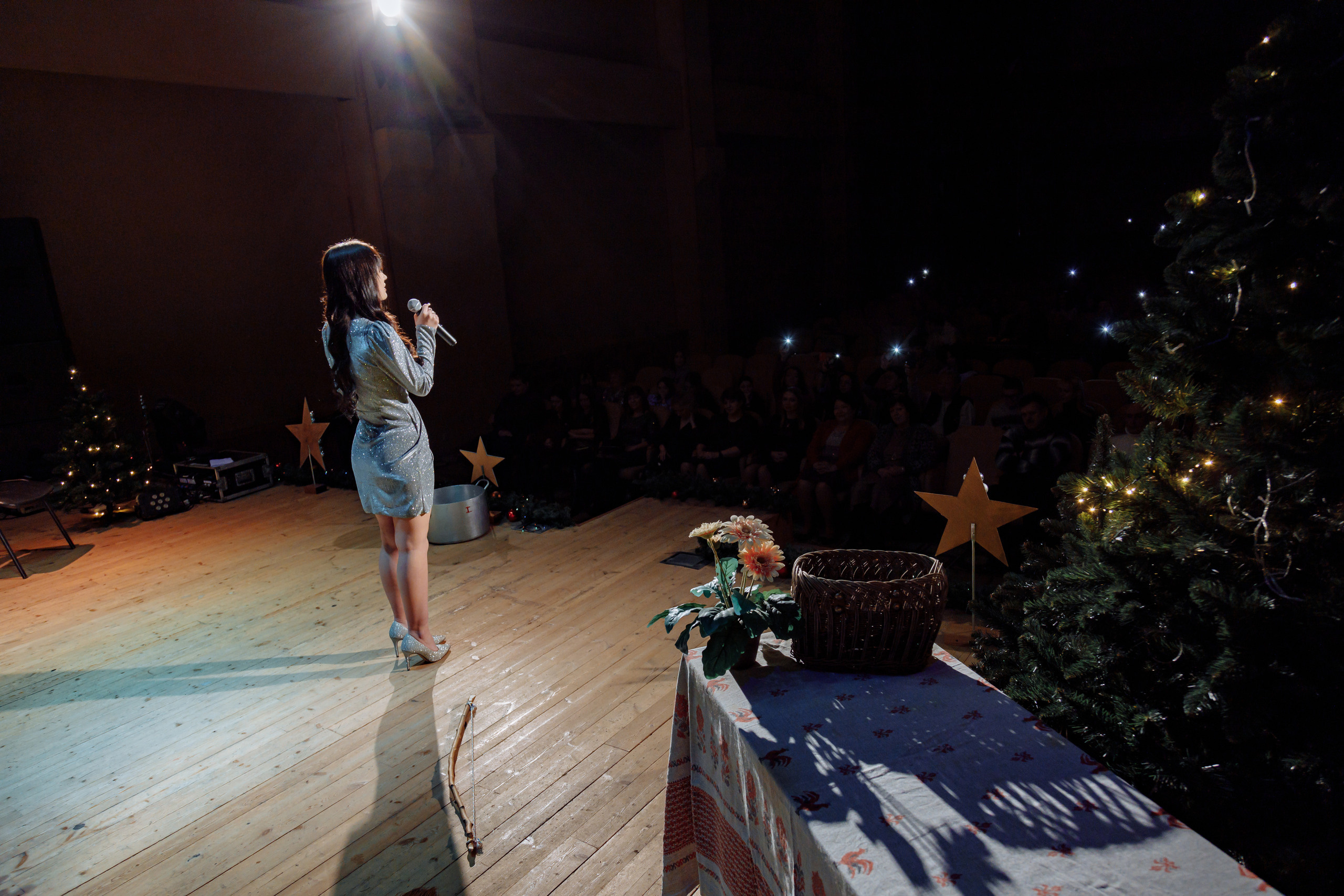 Новогодний концерт в КИТиФ. Фотограф, видеограф