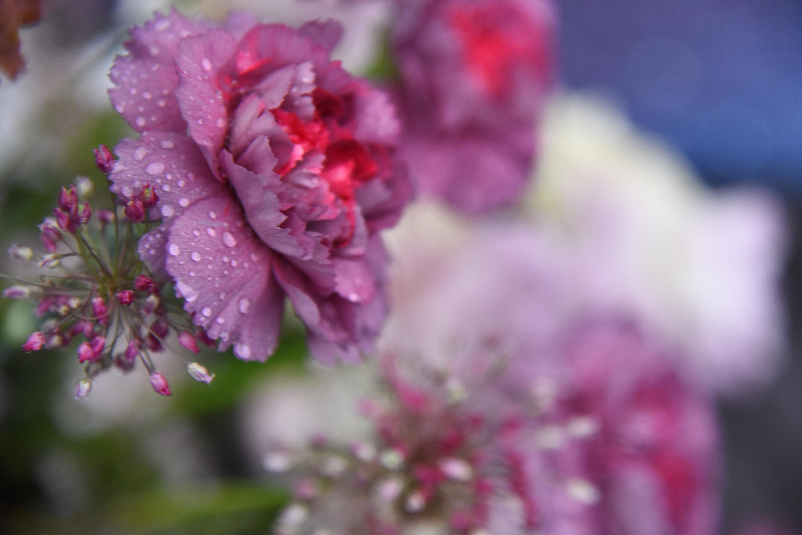 Работа декоратора Юлии Ясаковой. Фотограф, видеограф