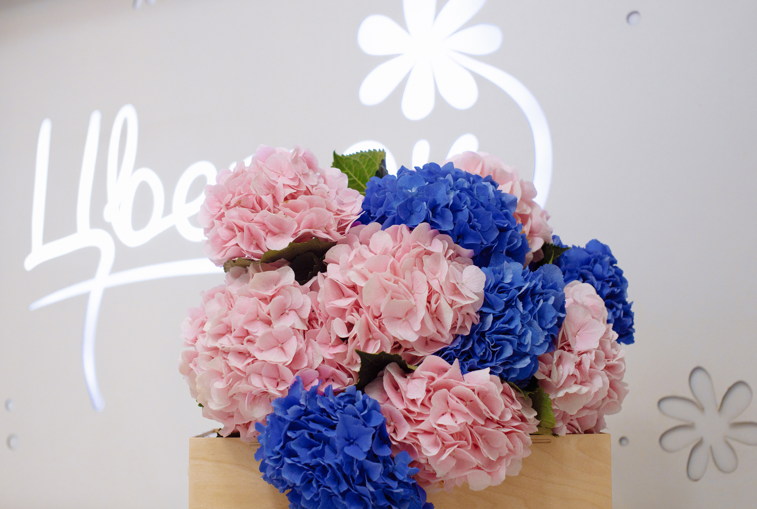 Цветочный магазин «Шамса». Фотограф, видеограф