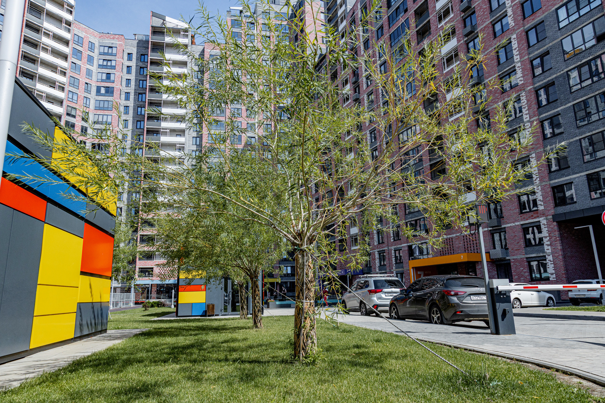 ЖК 5 Столиц, ландшафтный дизайн. Фотограф, видеограф