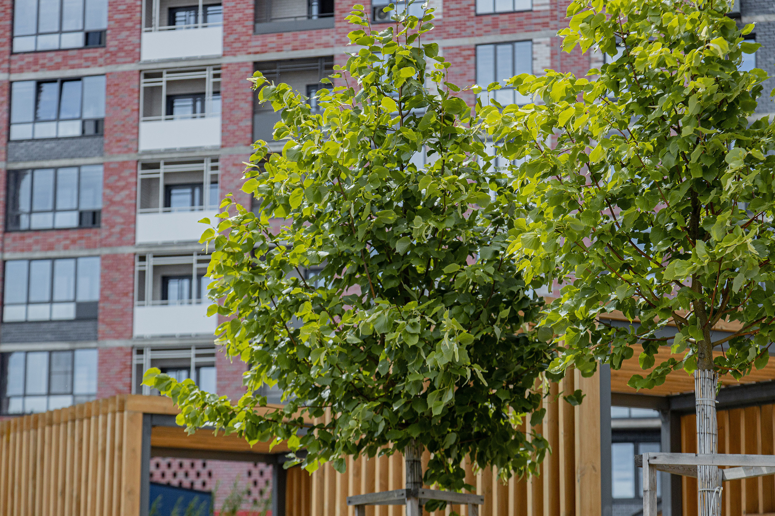 ЖК 5 Столиц, ландшафтный дизайн. Фотограф, видеограф