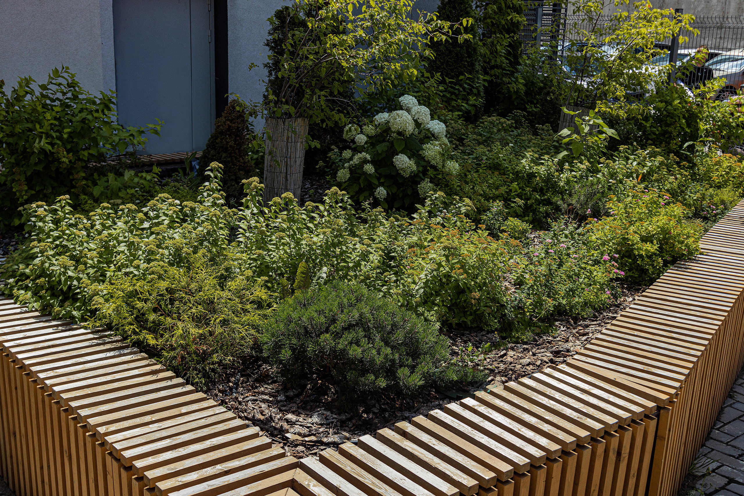 ЖК 5 Столиц, ландшафтный дизайн. Фотограф, видеограф