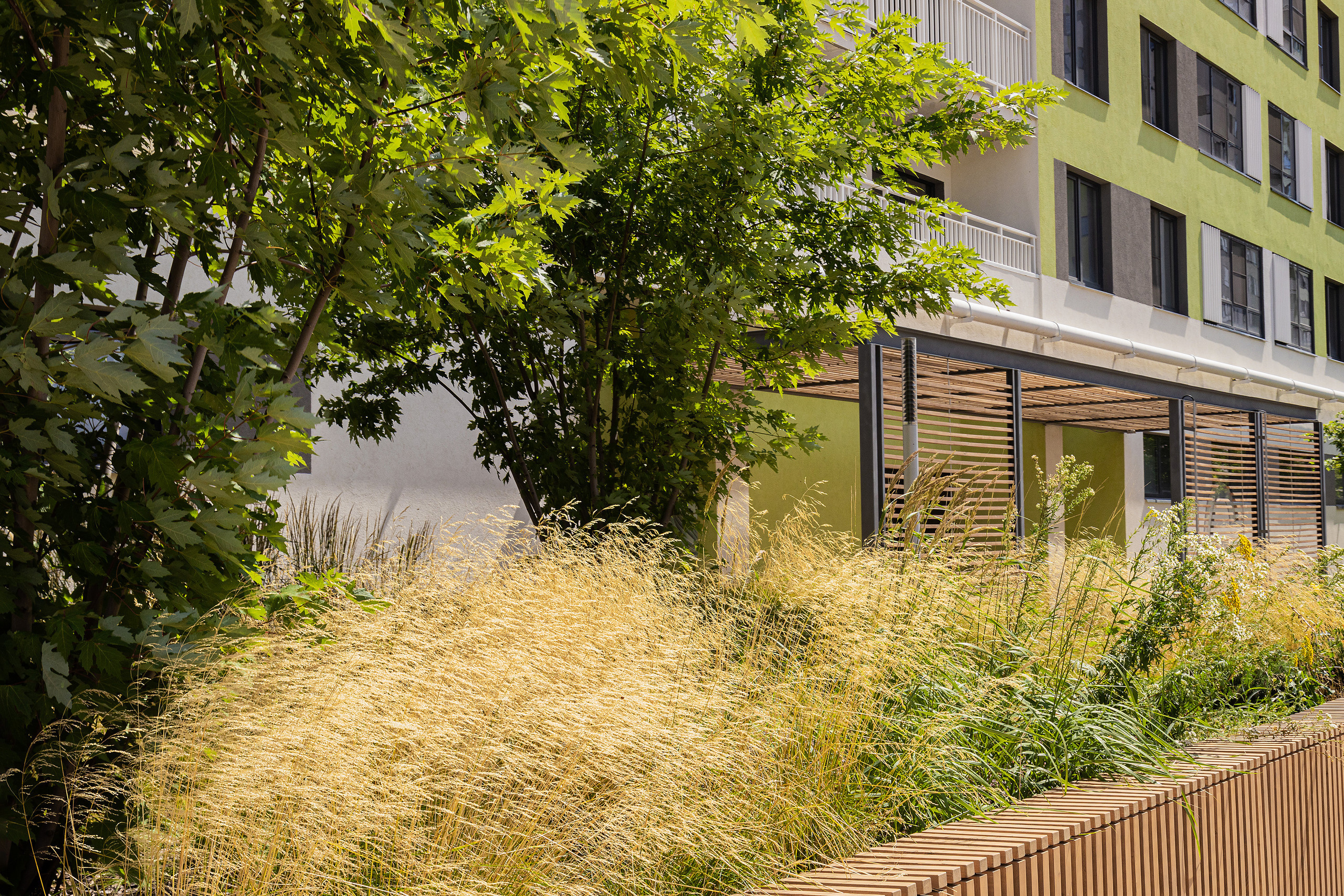 ЖК 5 Столиц, ландшафтный дизайн. Фотограф, видеограф