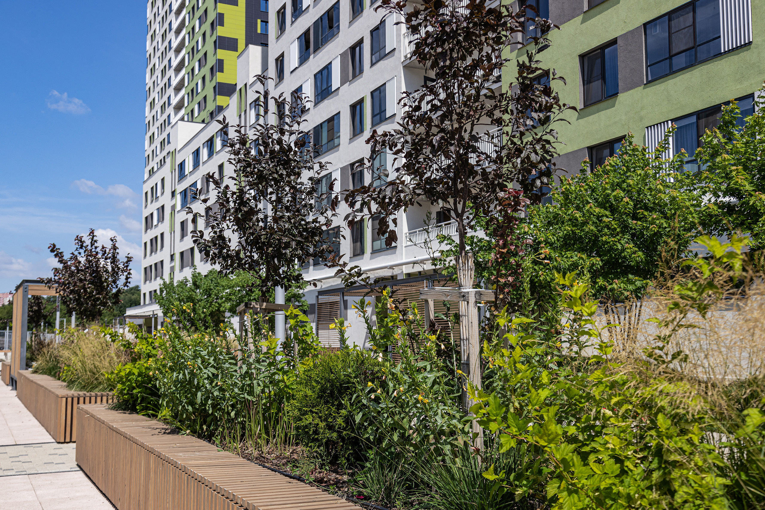 ЖК 5 Столиц, ландшафтный дизайн. Фотограф, видеограф