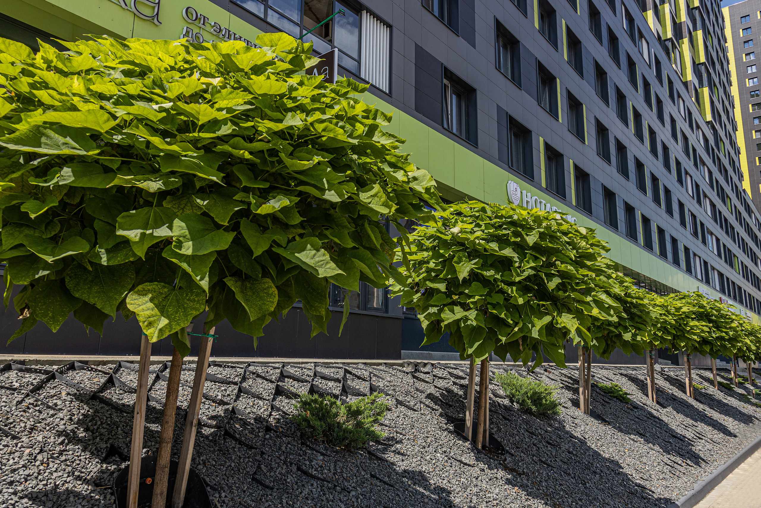 ЖК 5 Столиц, ландшафтный дизайн. Фотограф, видеограф