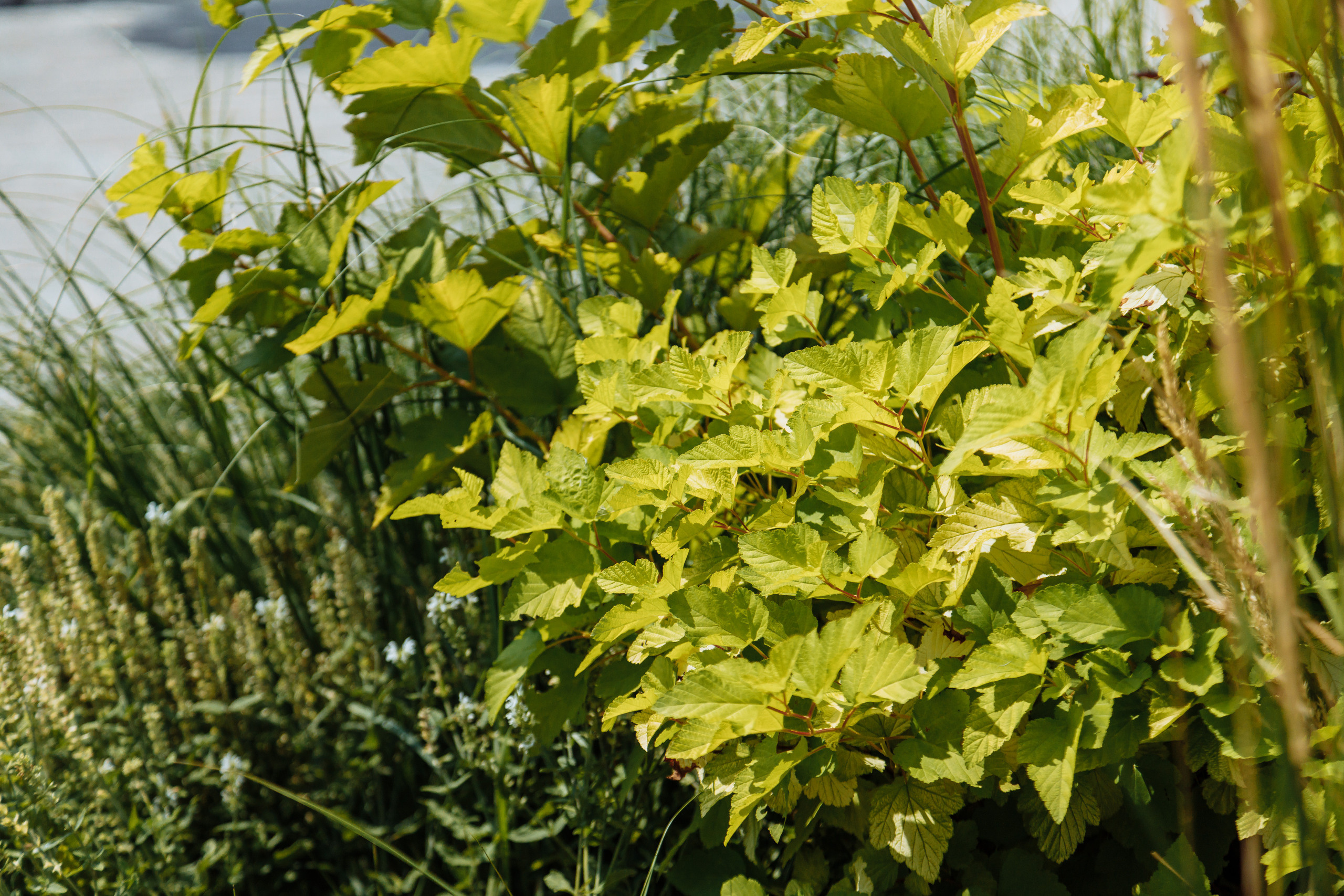 Детский обучающий центр. Фотограф, видеограф