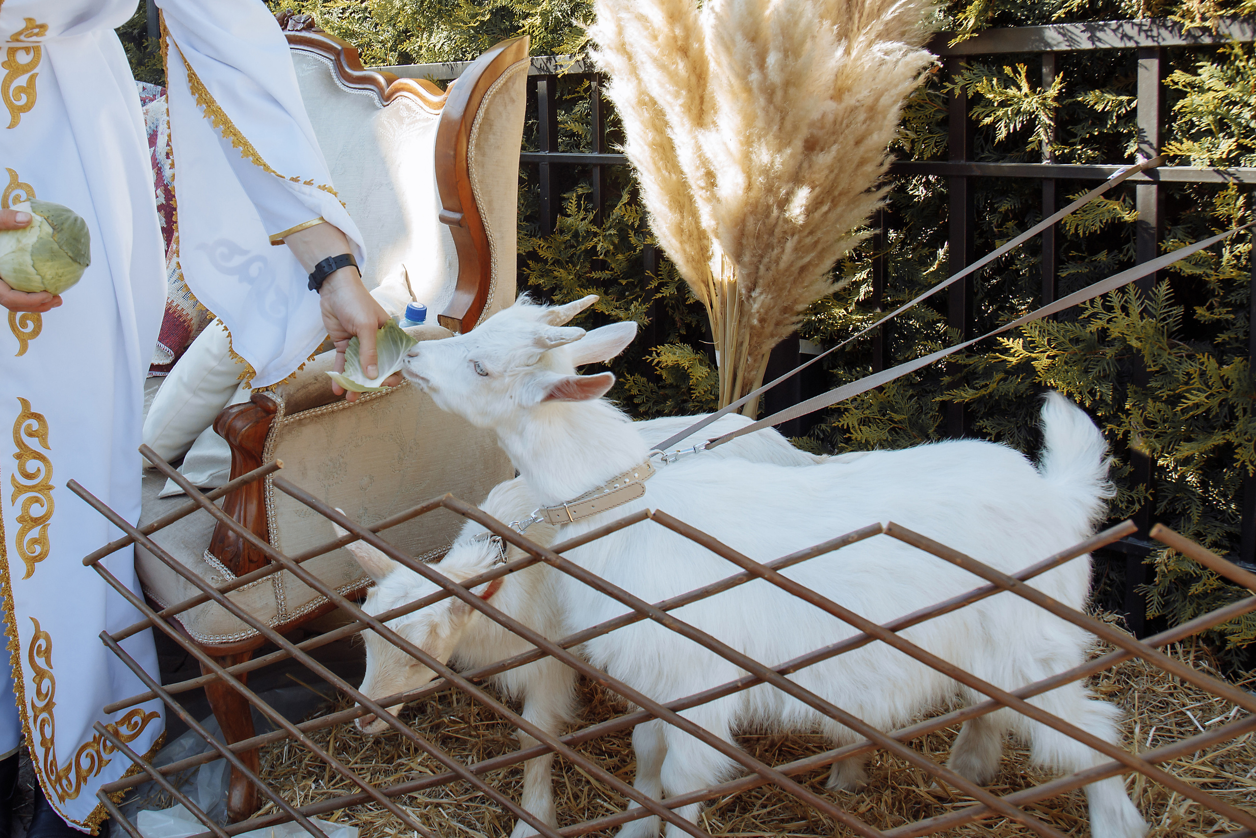 Работа декоратора. Фотограф, видеограф