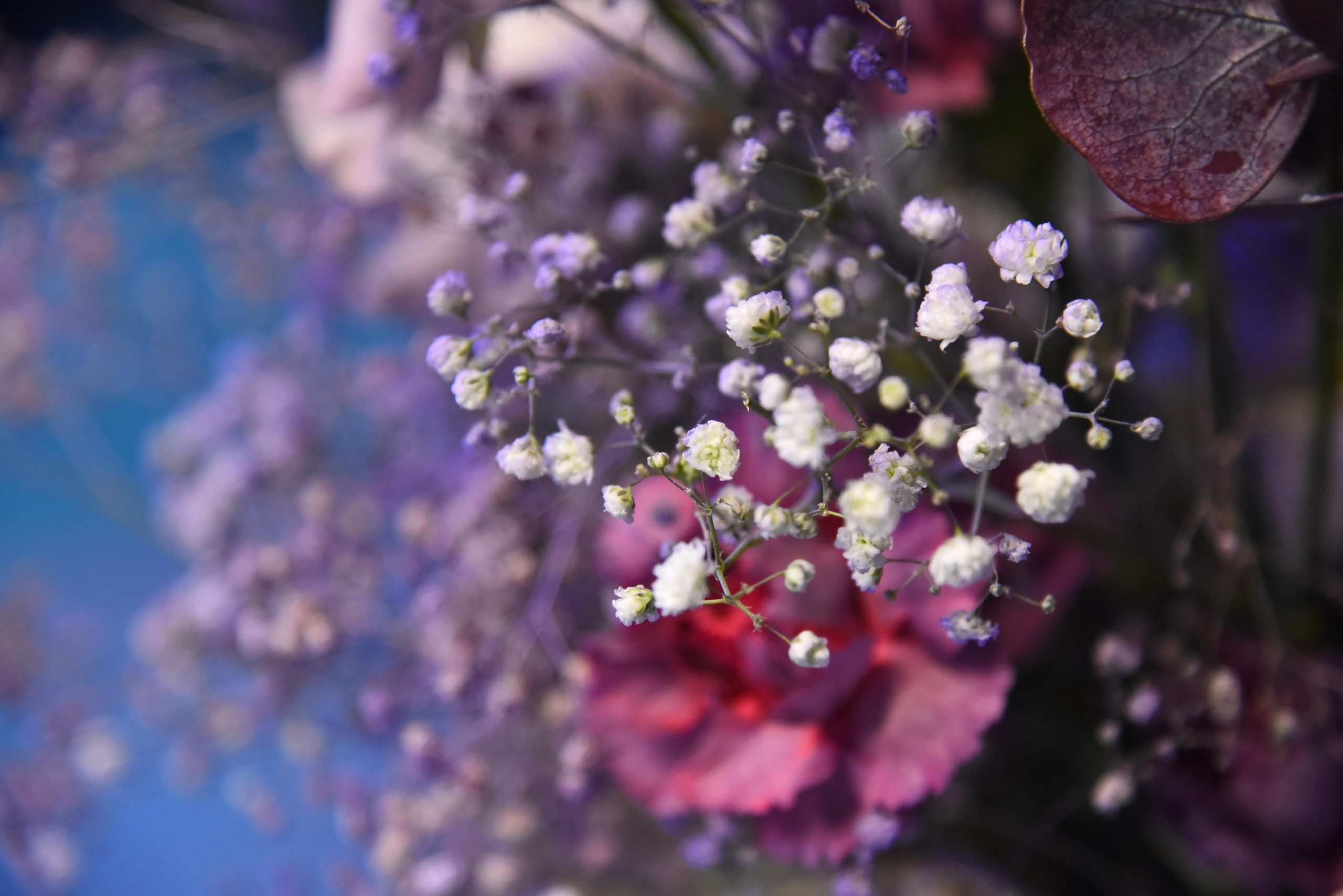 Работа декоратора Юлии Ясаковой. Фотограф, видеограф