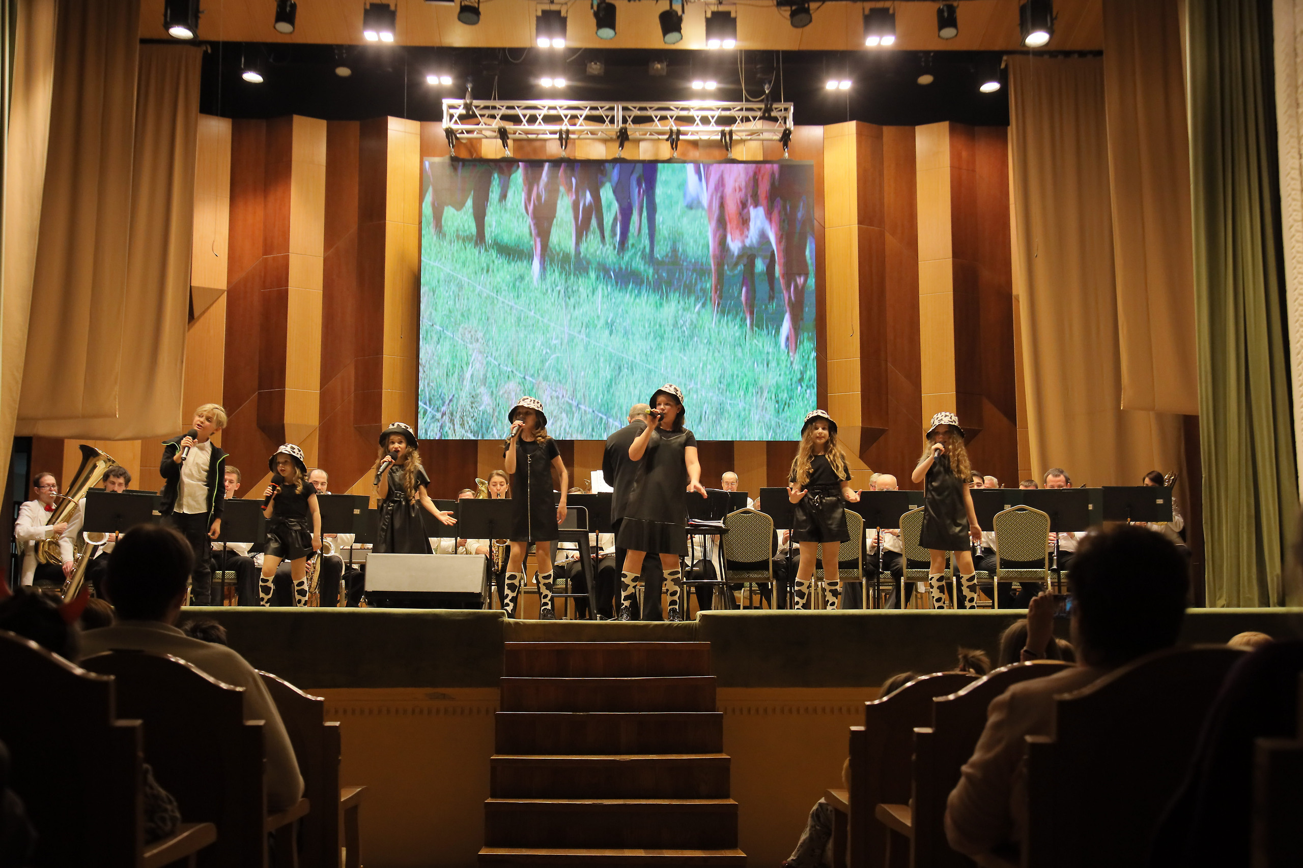 Отчётный концерт в филармонии. Фотограф, видеограф