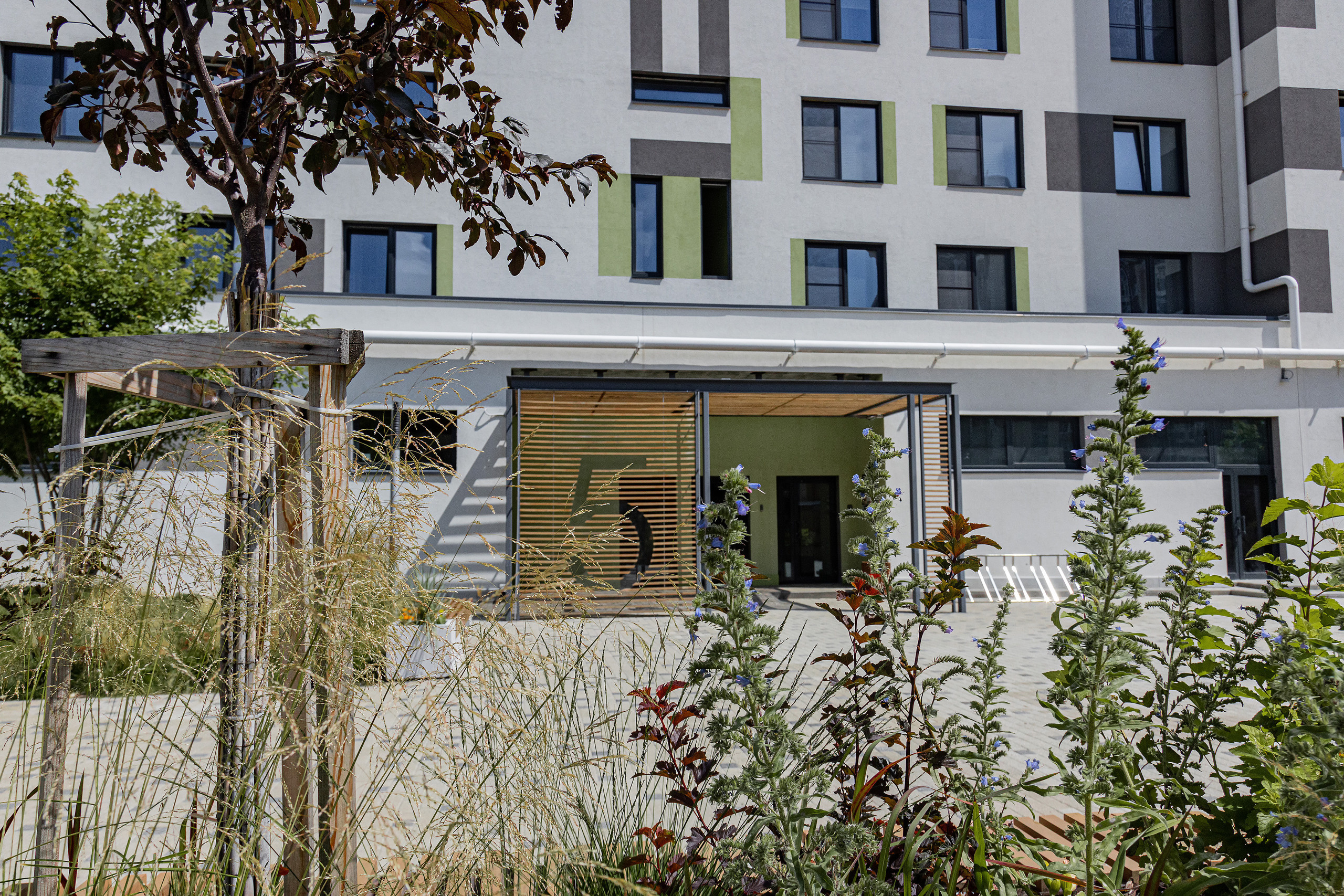 ЖК 5 Столиц, ландшафтный дизайн. Фотограф, видеограф