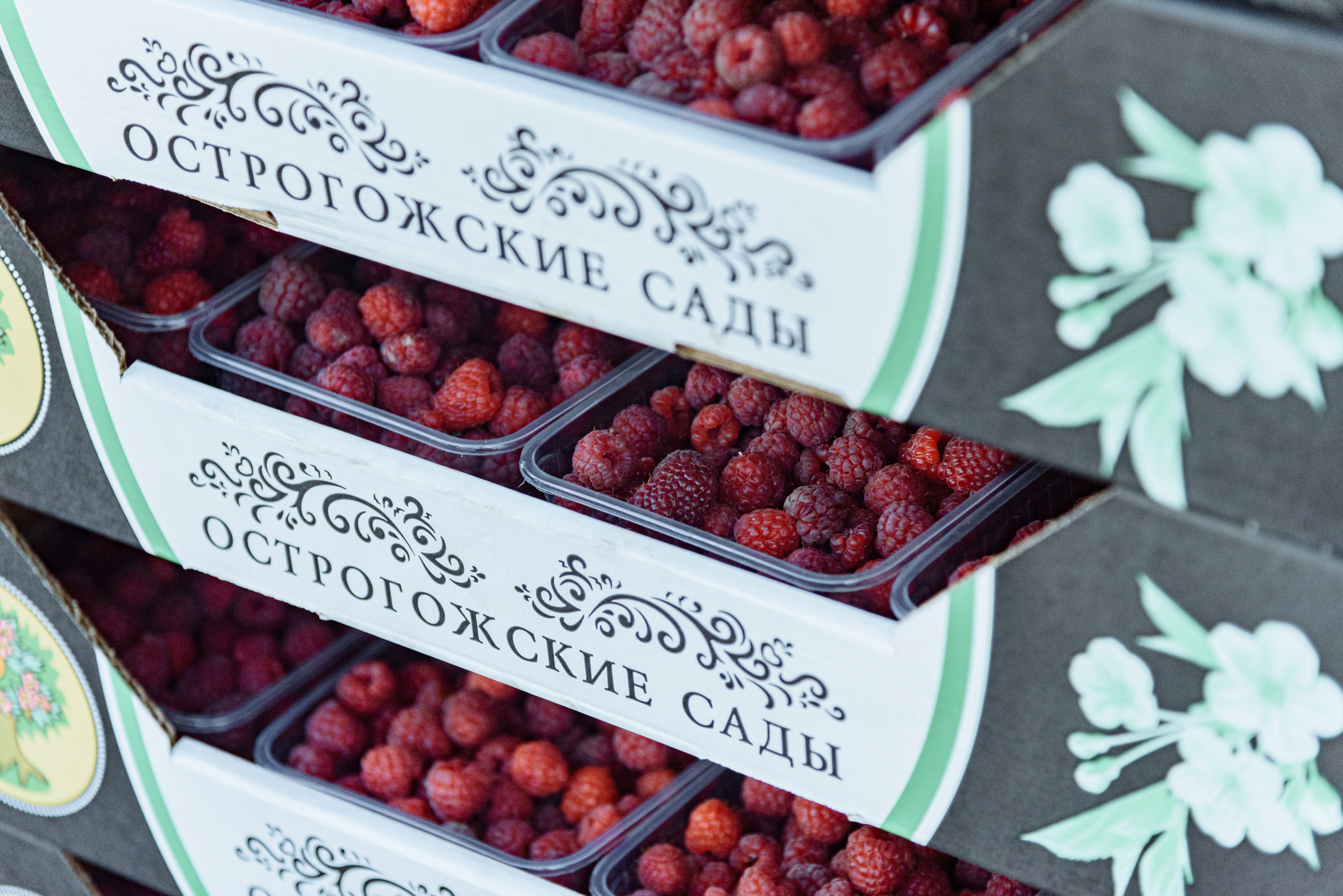 ОстрогожскСадПитомник. Фотограф, видеограф