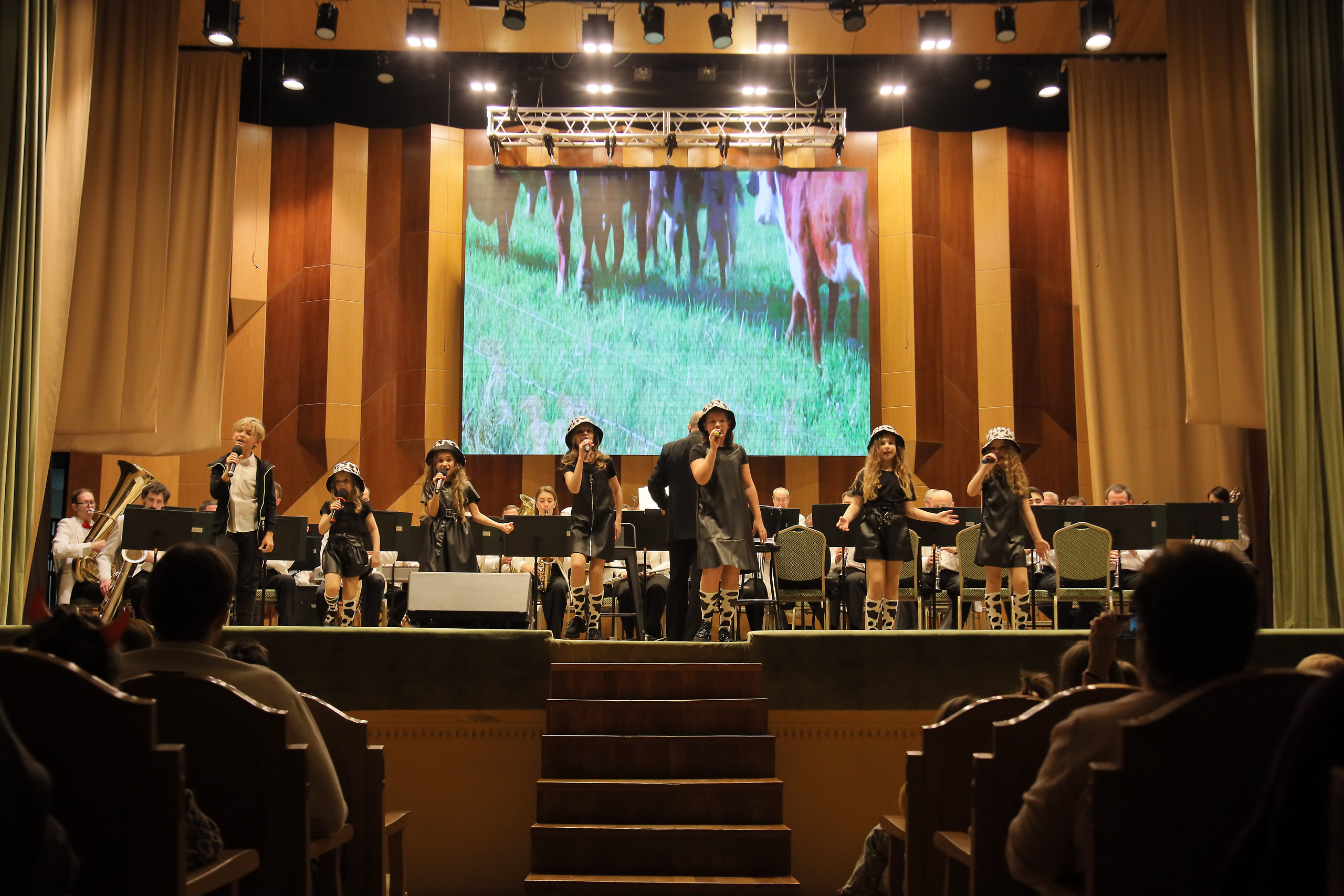 Отчётный концерт в филармонии. Фотограф, видеограф