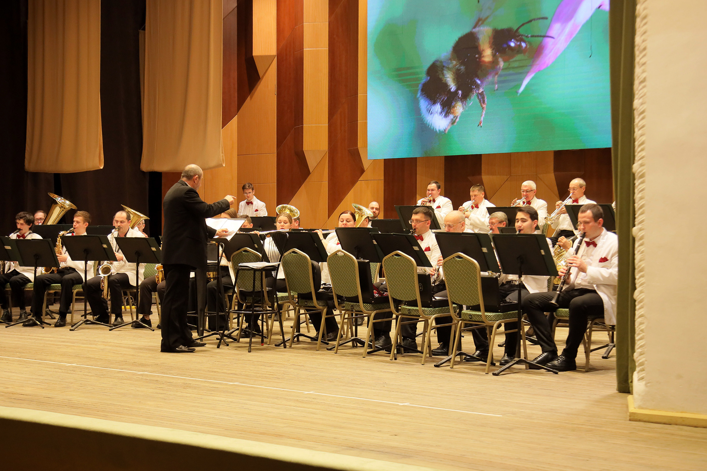 Отчётный концерт в филармонии. Фотограф, видеограф
