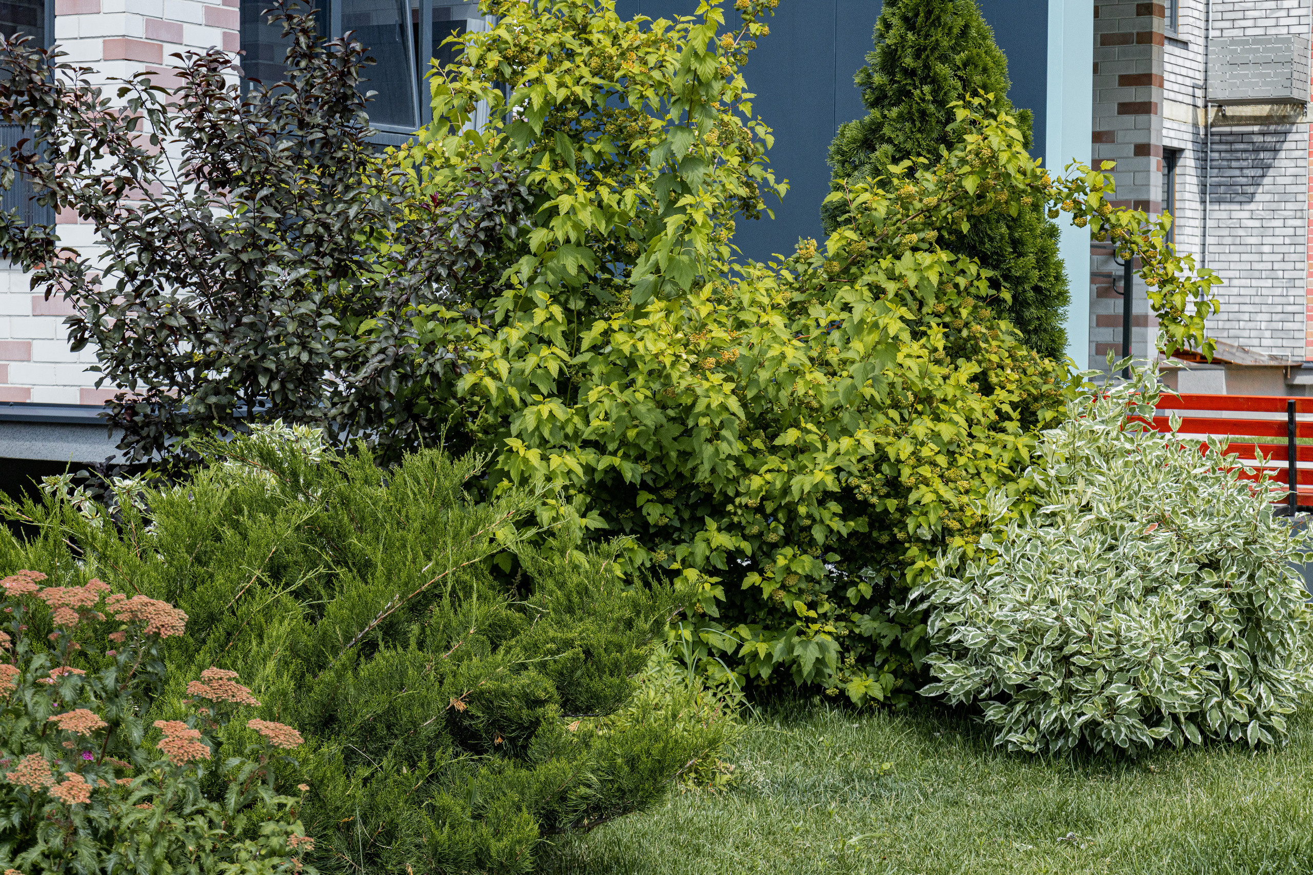 ЖК 5 Столиц, ландшафтный дизайн. Фотограф, видеограф