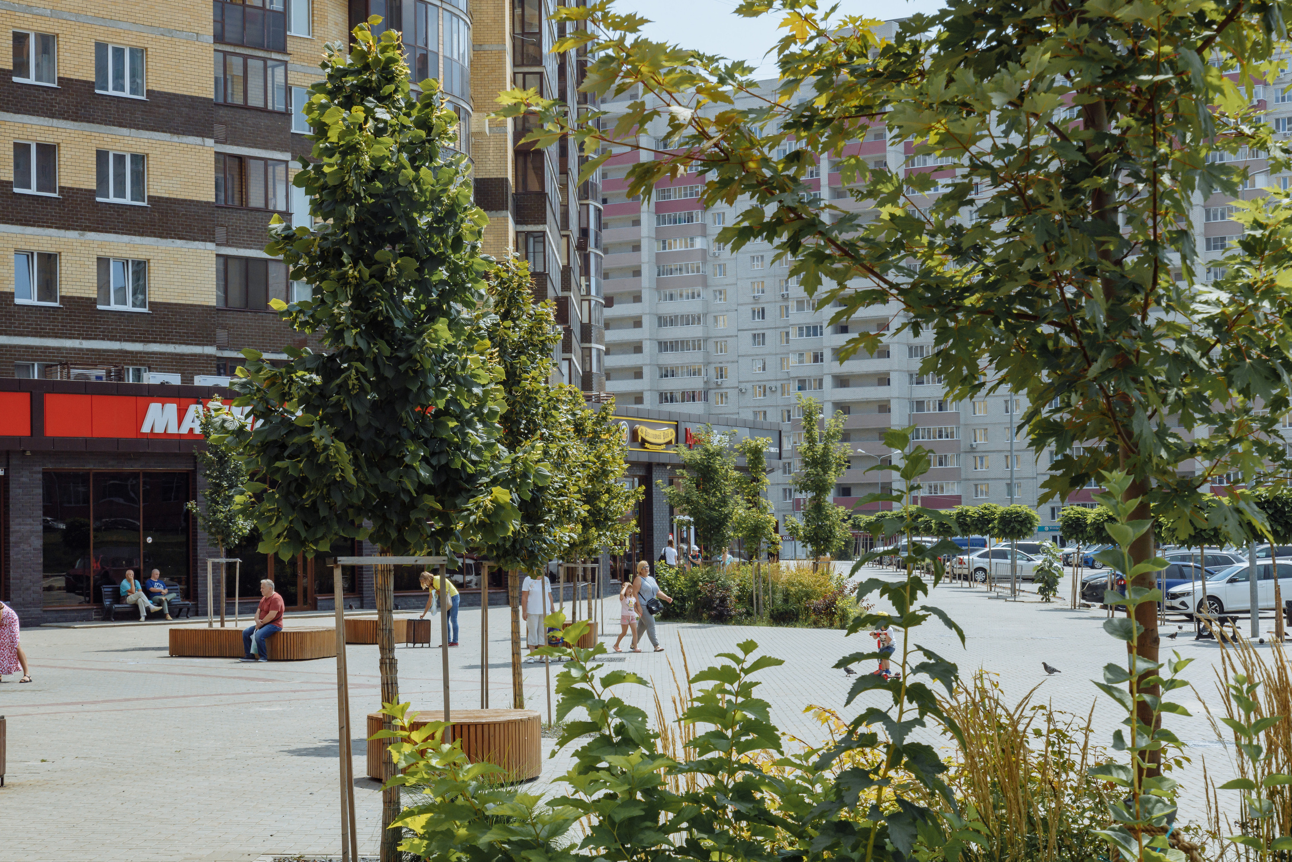 ЖК 5 Столиц, ландшафтный дизайн. Фотограф, видеограф