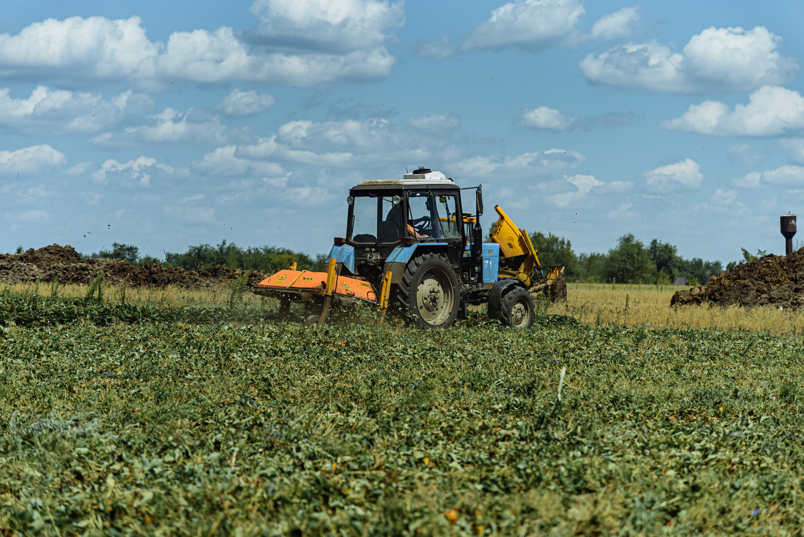 ОстрогожскСадПитомник. Фотограф, видеограф