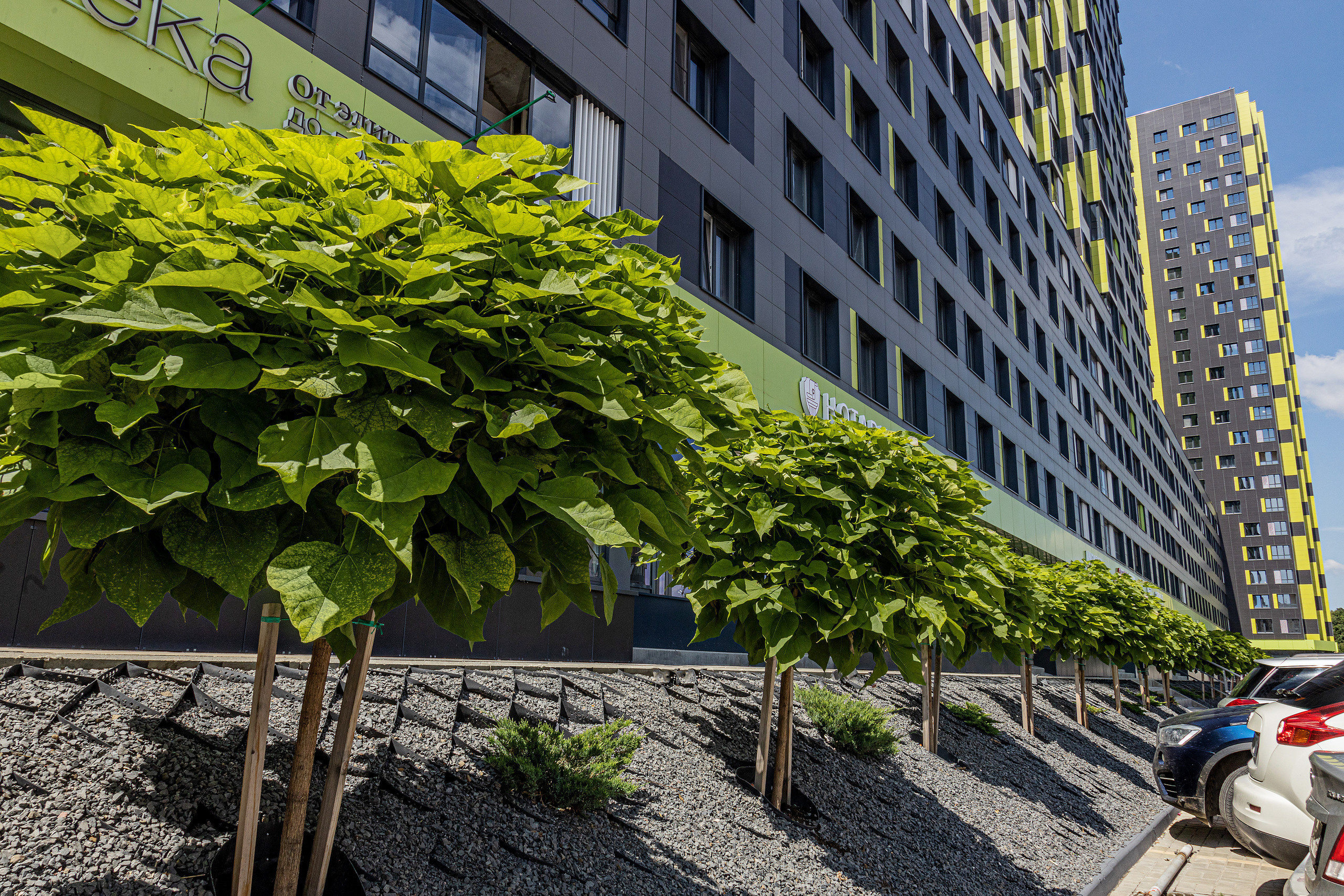ЖК 5 Столиц, ландшафтный дизайн. Фотограф, видеограф