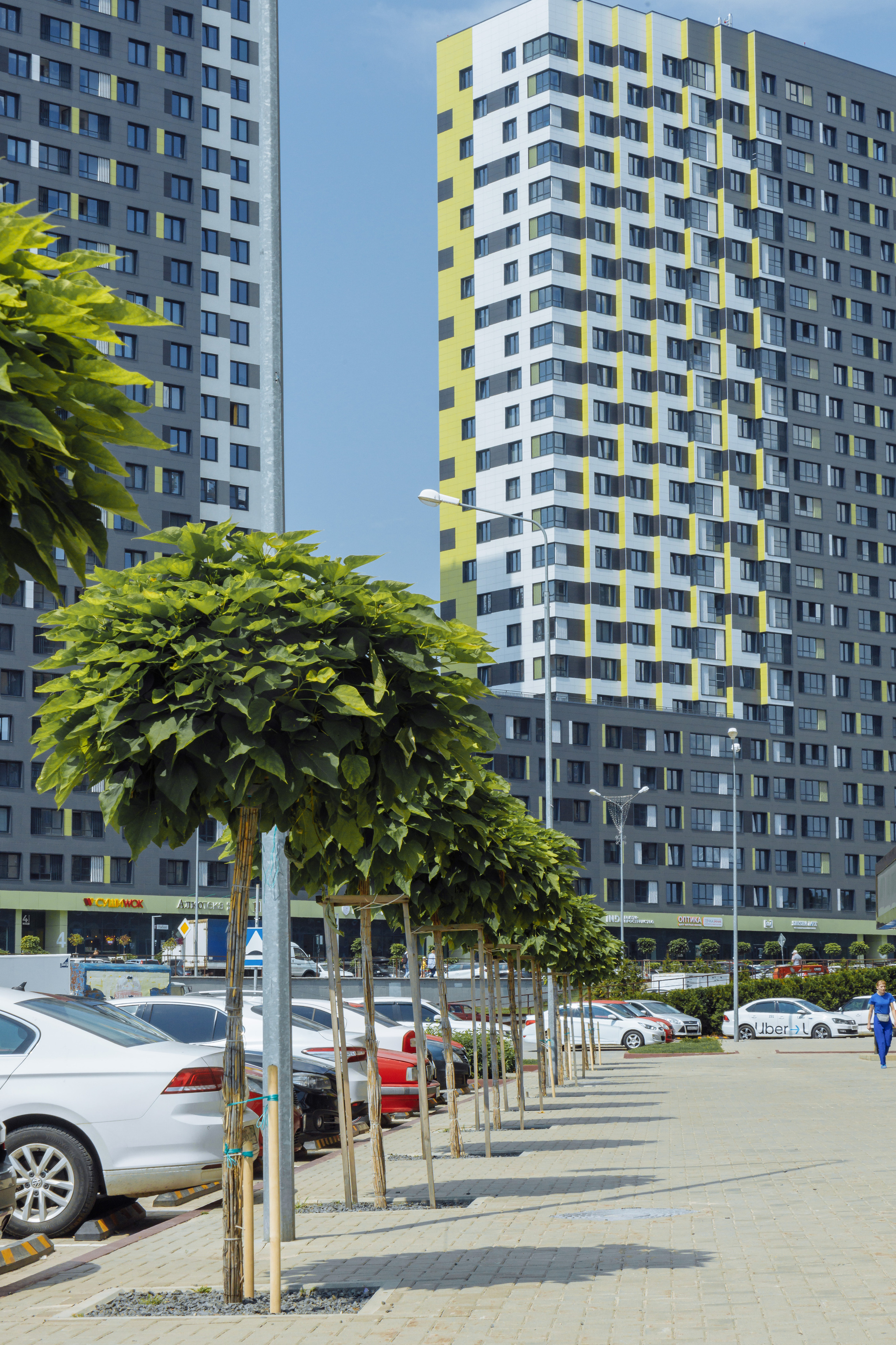 ЖК 5 Столиц, ландшафтный дизайн. Фотограф, видеограф