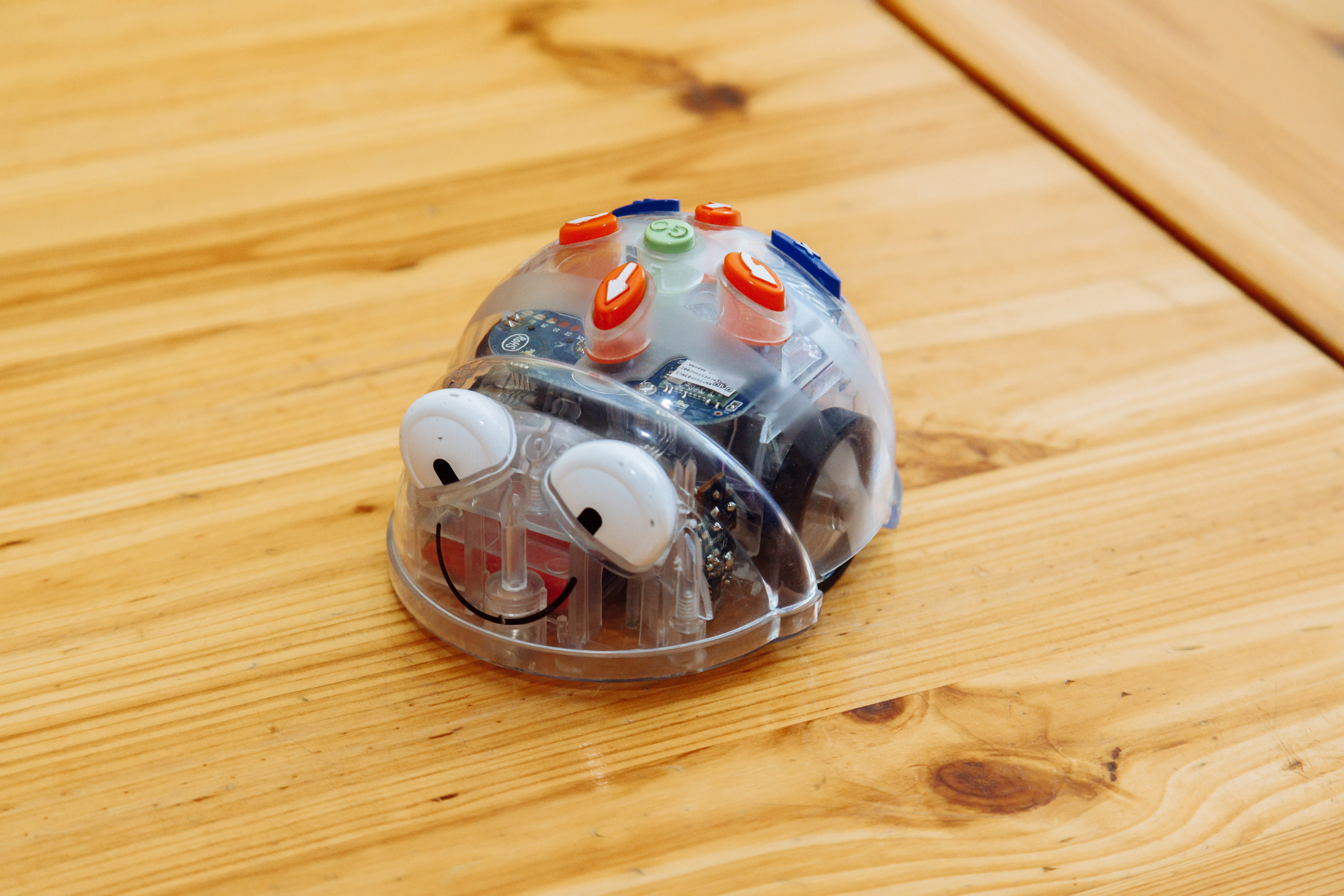 Детский обучающий центр. Фотограф, видеограф