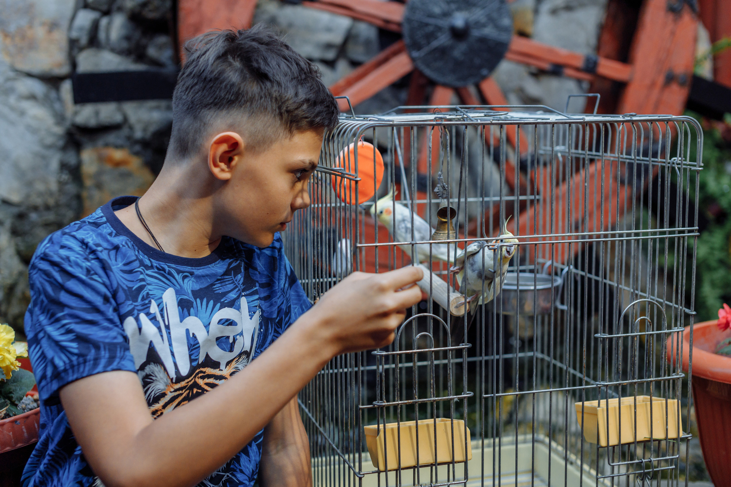 День рождения Юбилей. Фотограф, видеограф
