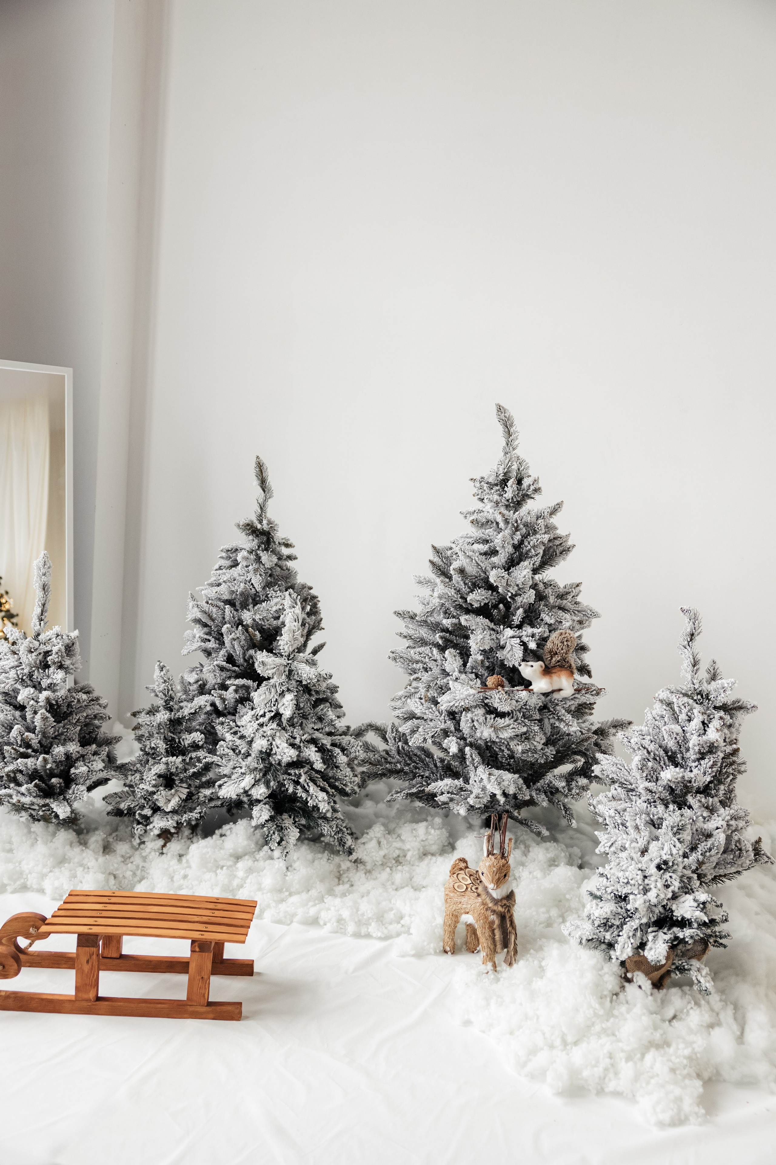 Студия Простор. Семейный и детский фотограф в Твери Марина Марамыгина