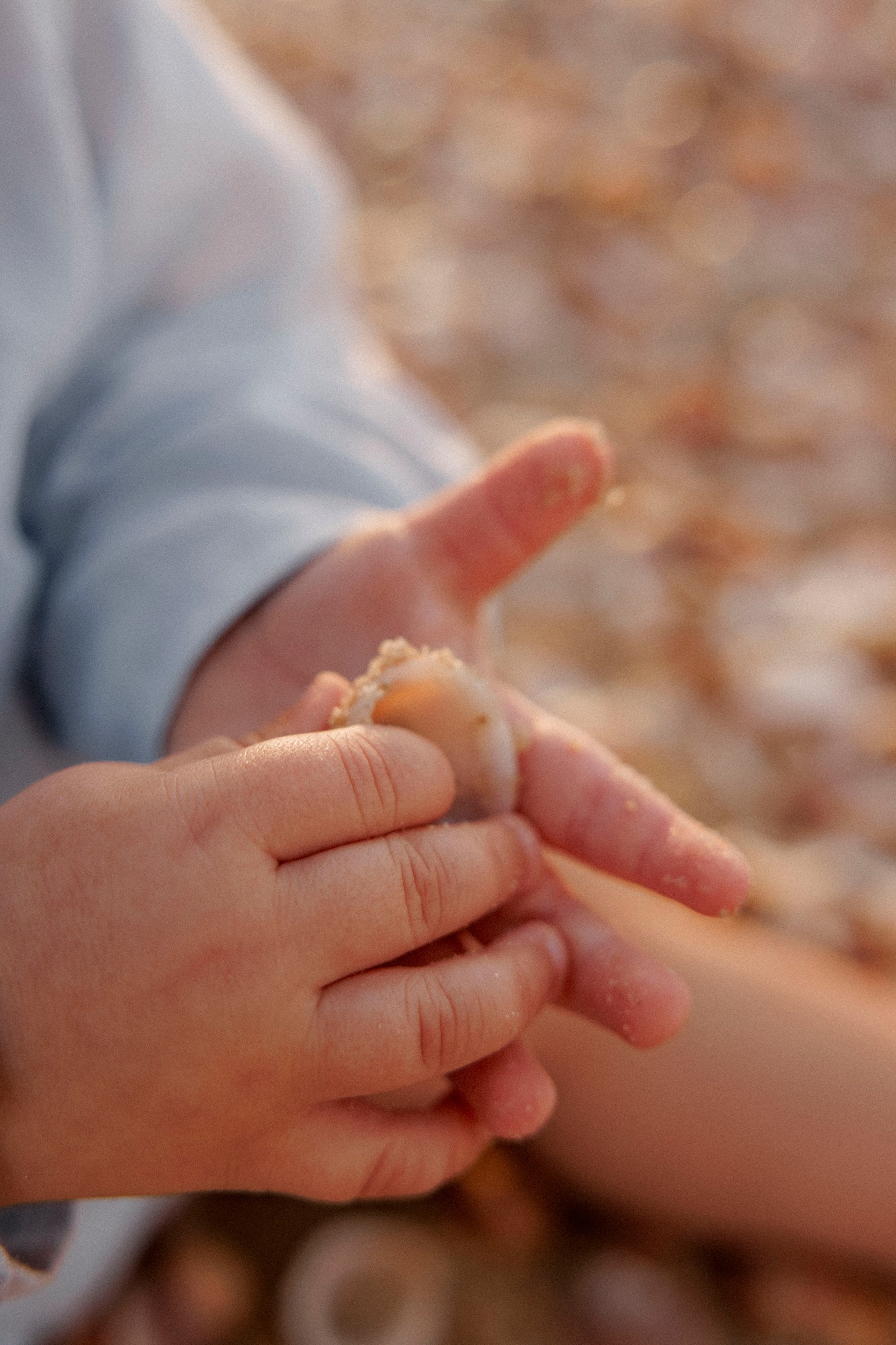 First year family photos near the sea. Главная