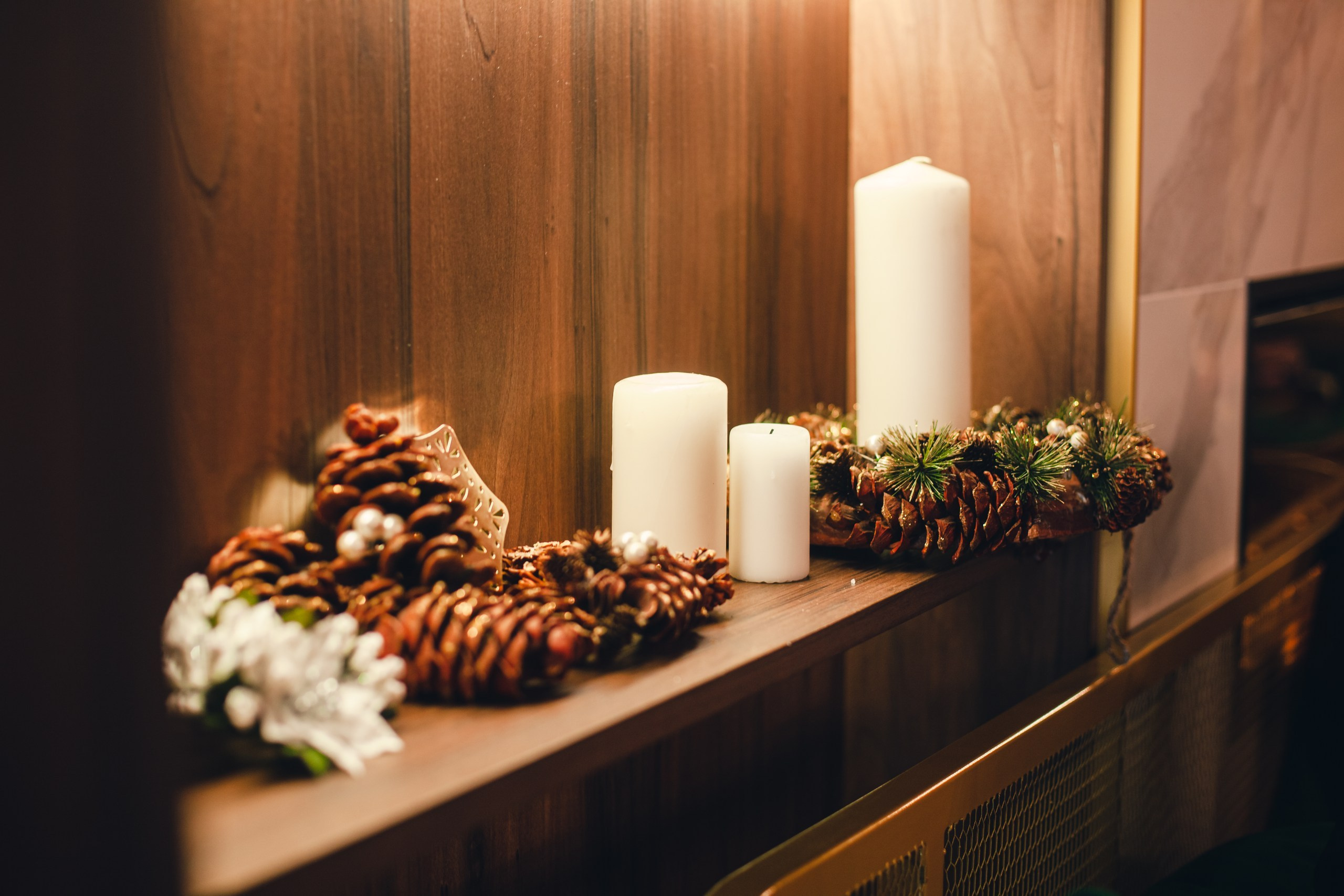 Мопсовстреча 02.12.2023. Фотограф-анималист Татьяна Степанова