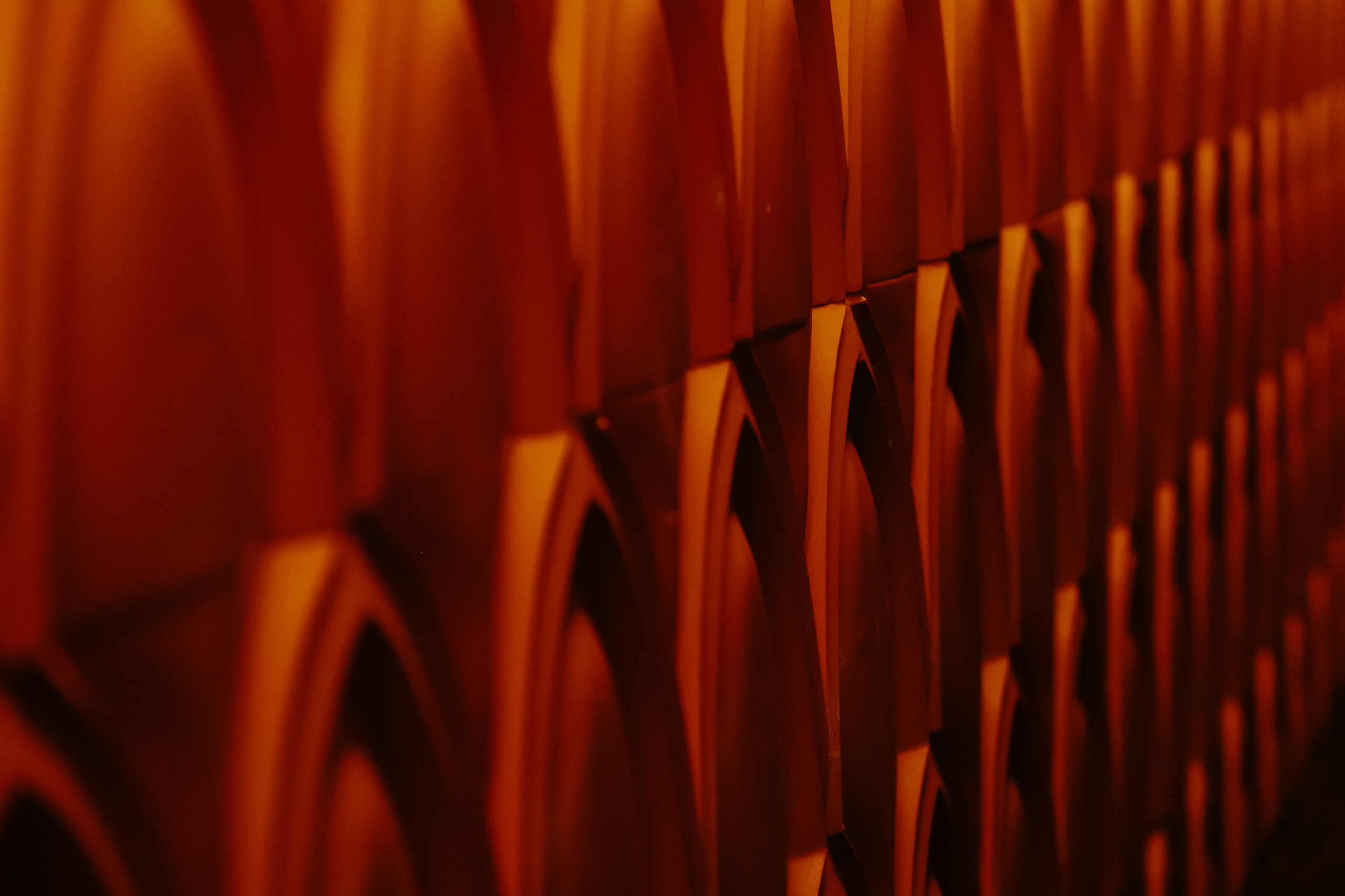 Бизнес — Стендап. Фотограф Юлия Мальцева