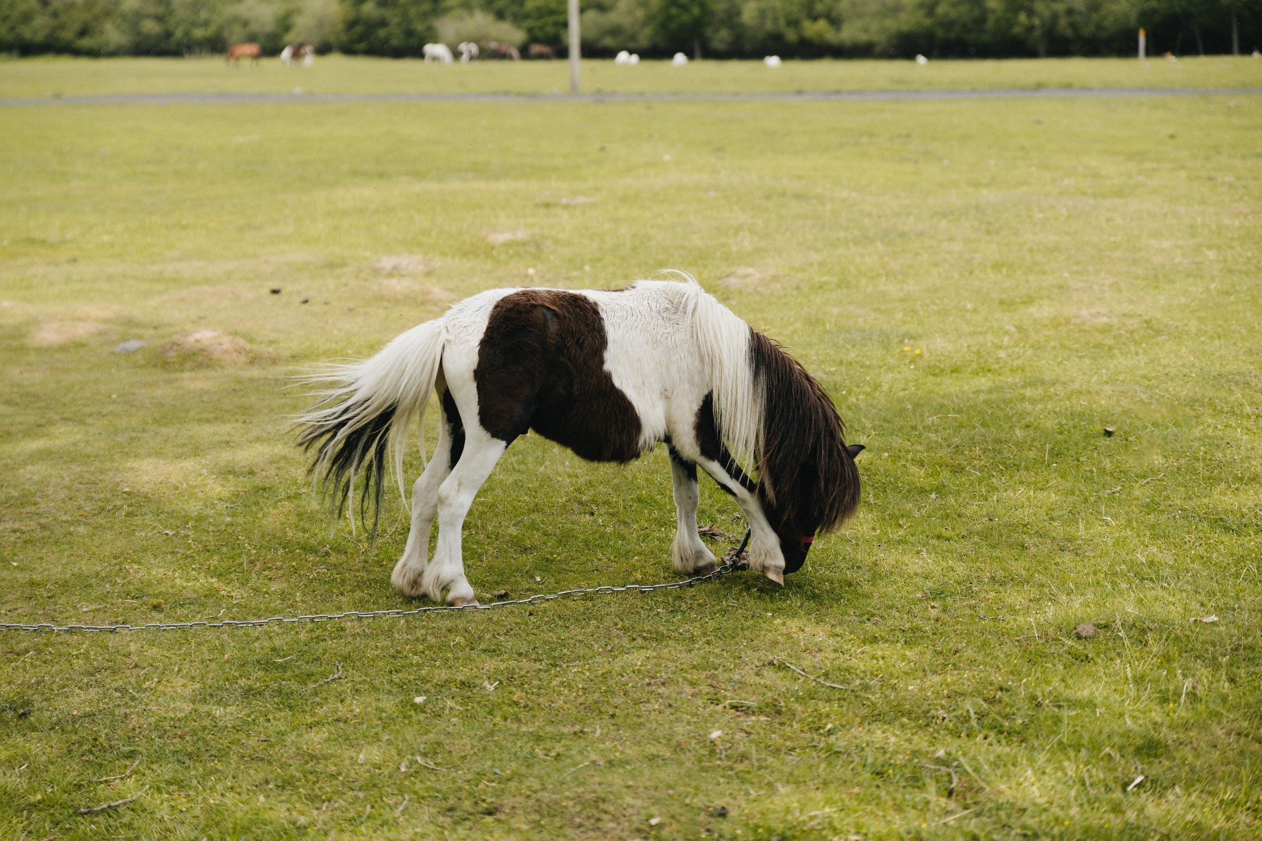 Тур — девичник LEF.TRAVEL.CLUB. KRIS KRUPINNIKOVA