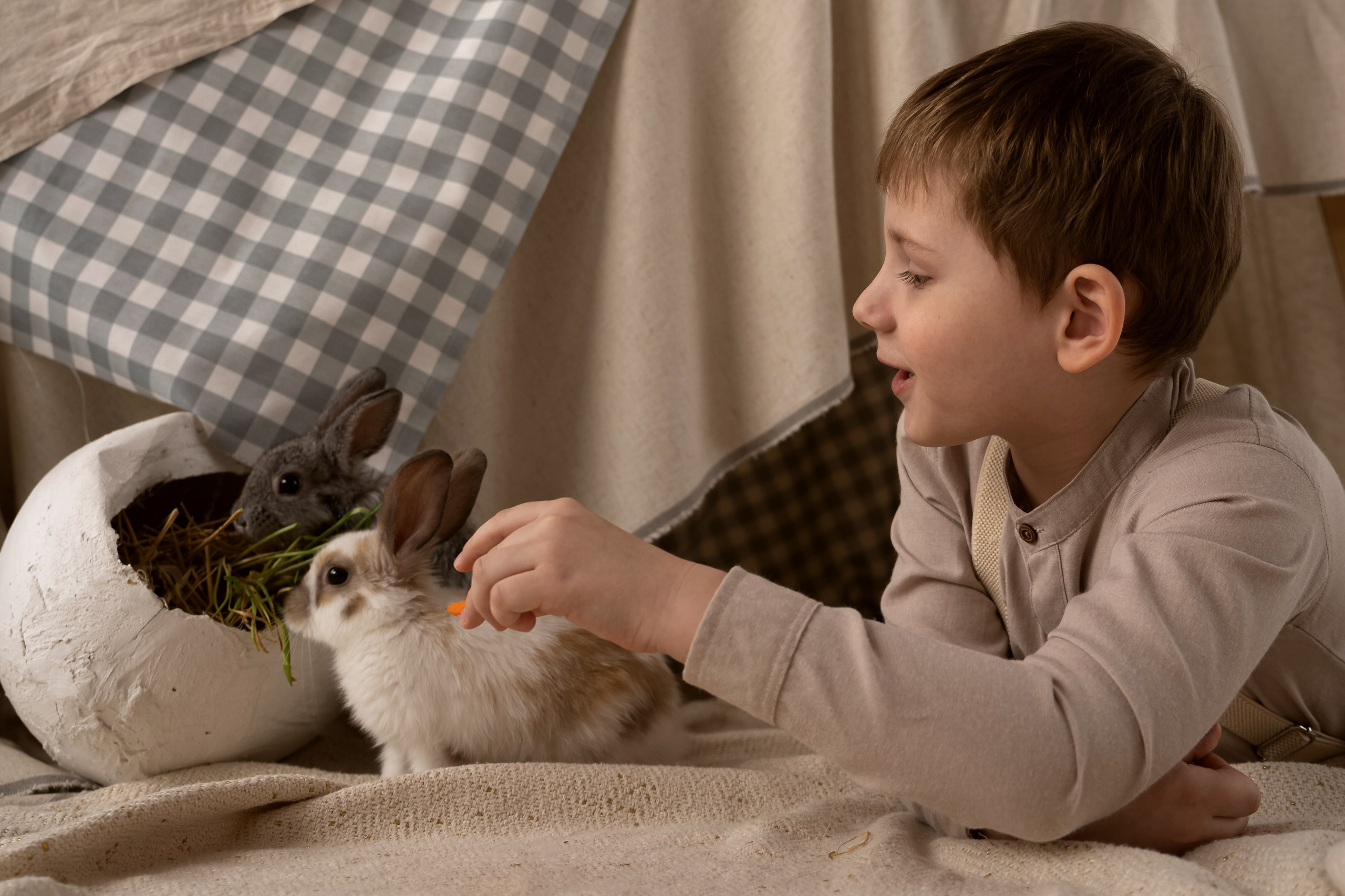 Дети и кролики. Главная