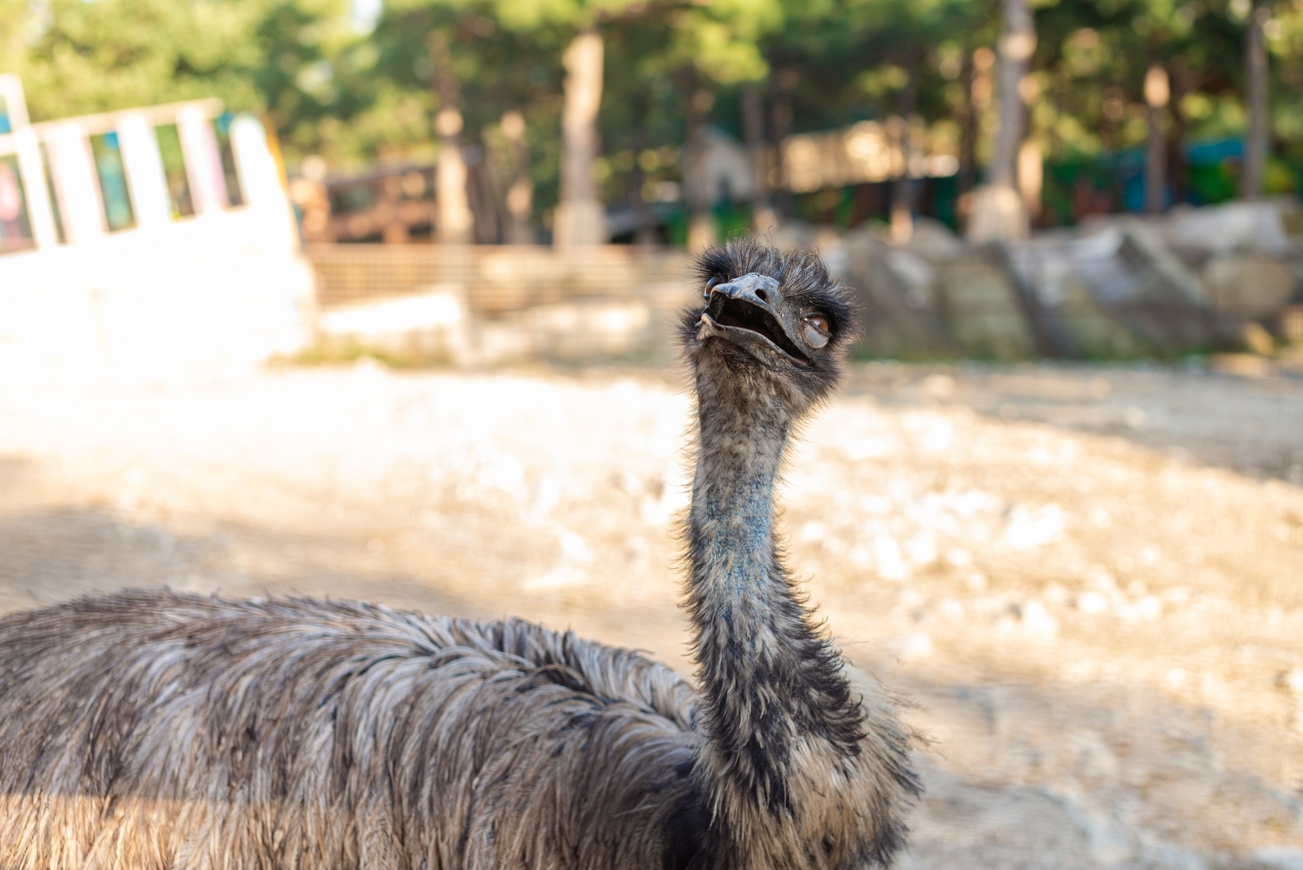 Июнь–Июль Отпуск Белореченск, Геленджик. Семейный, Свадебный фотограф СПБ Питер— Романова Екатерина