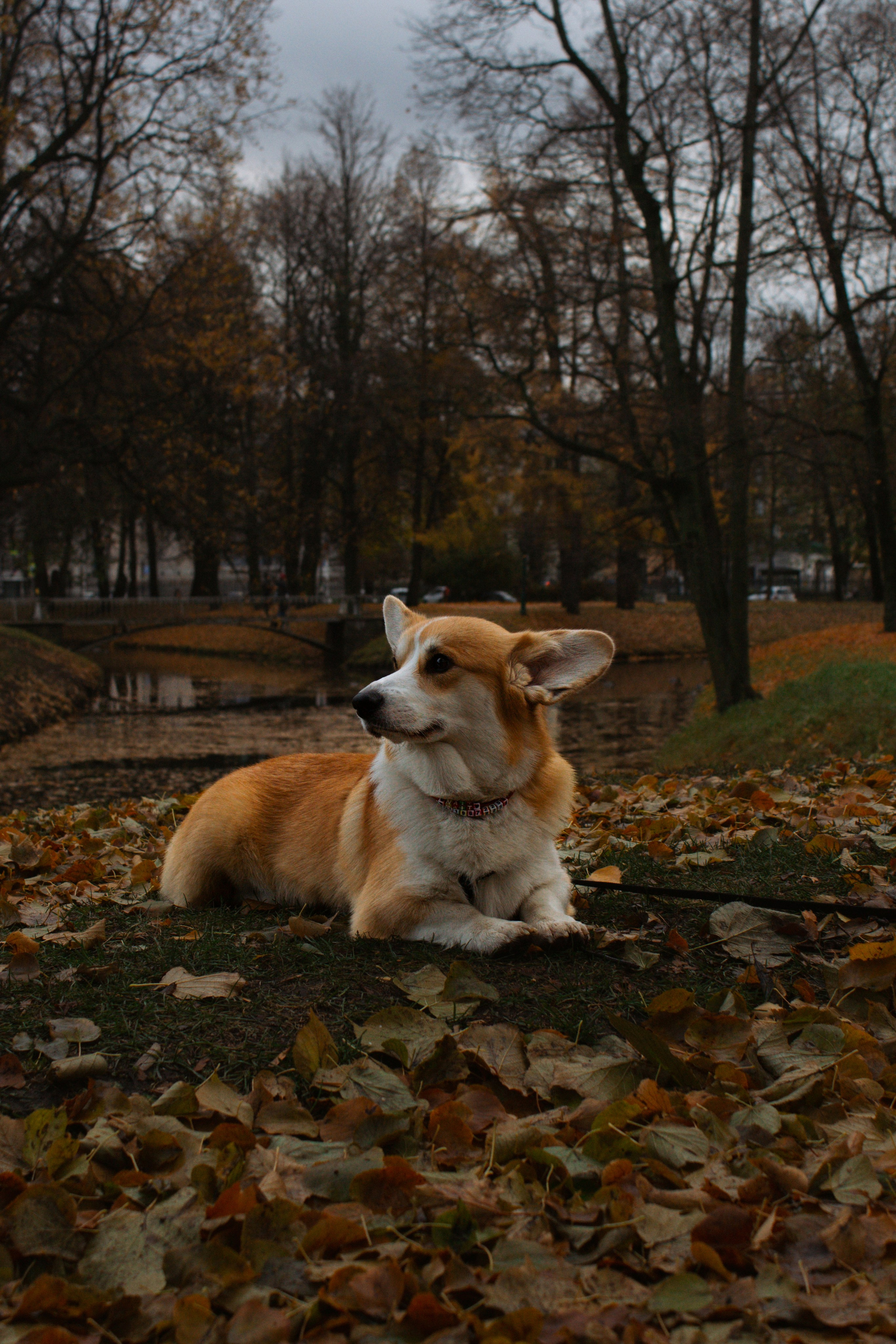 STREET СЪЕМКИ. Фотограф Молчанова Анастасия