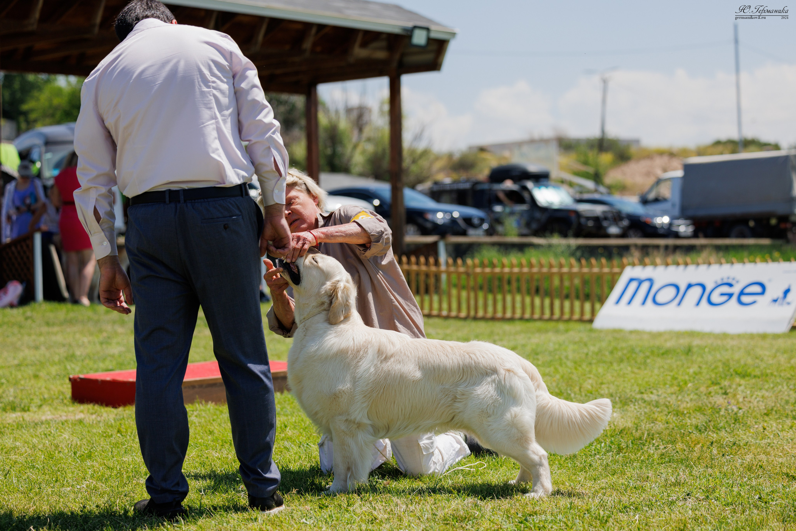 Ереван 3-5.06.2024. Фотограф-анималист Юлия Германика