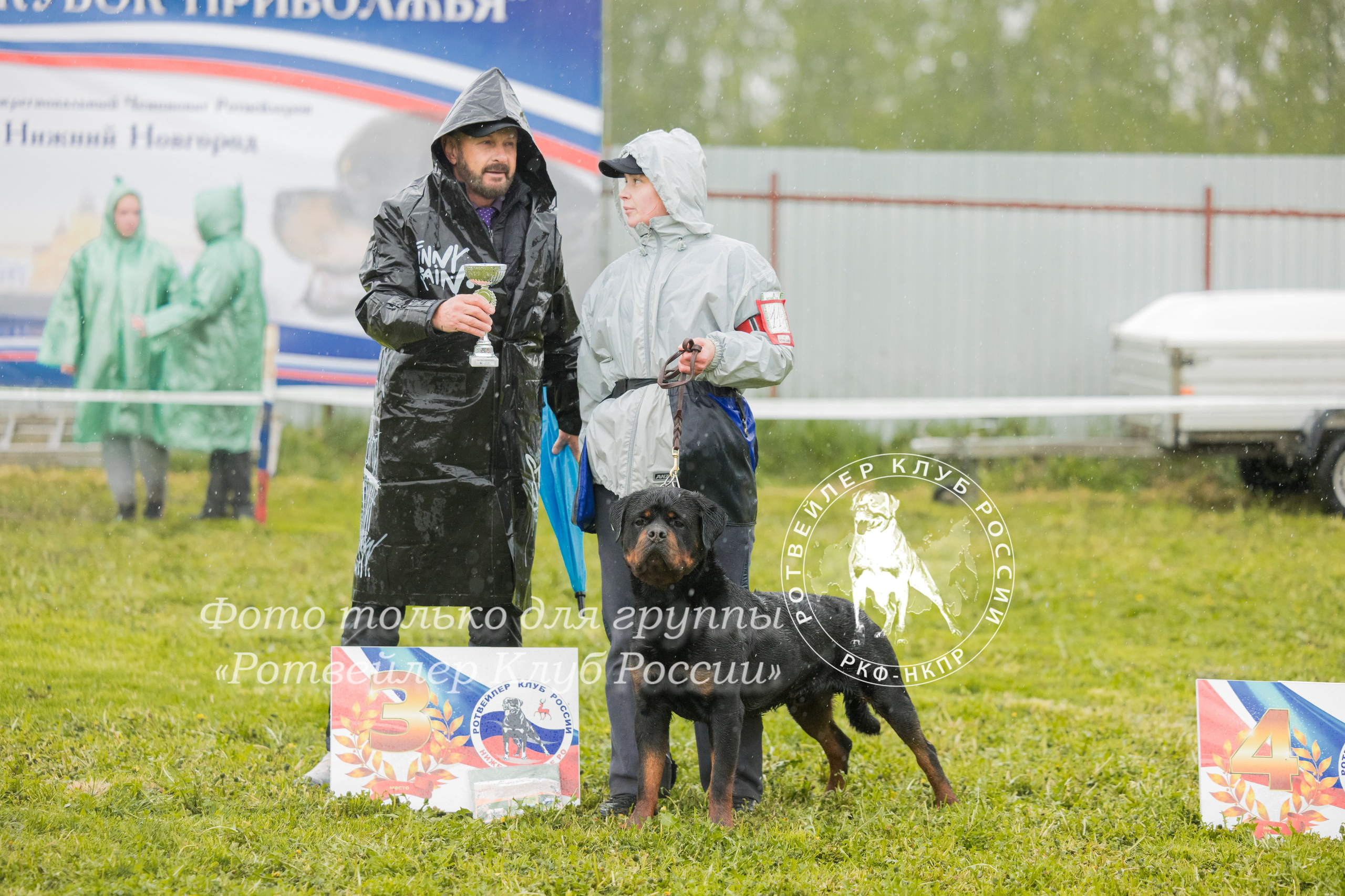 Нижний Новгород 2хмоно ротвейлеров 10-11.05.2025. Фотограф-анималист Юлия Германика