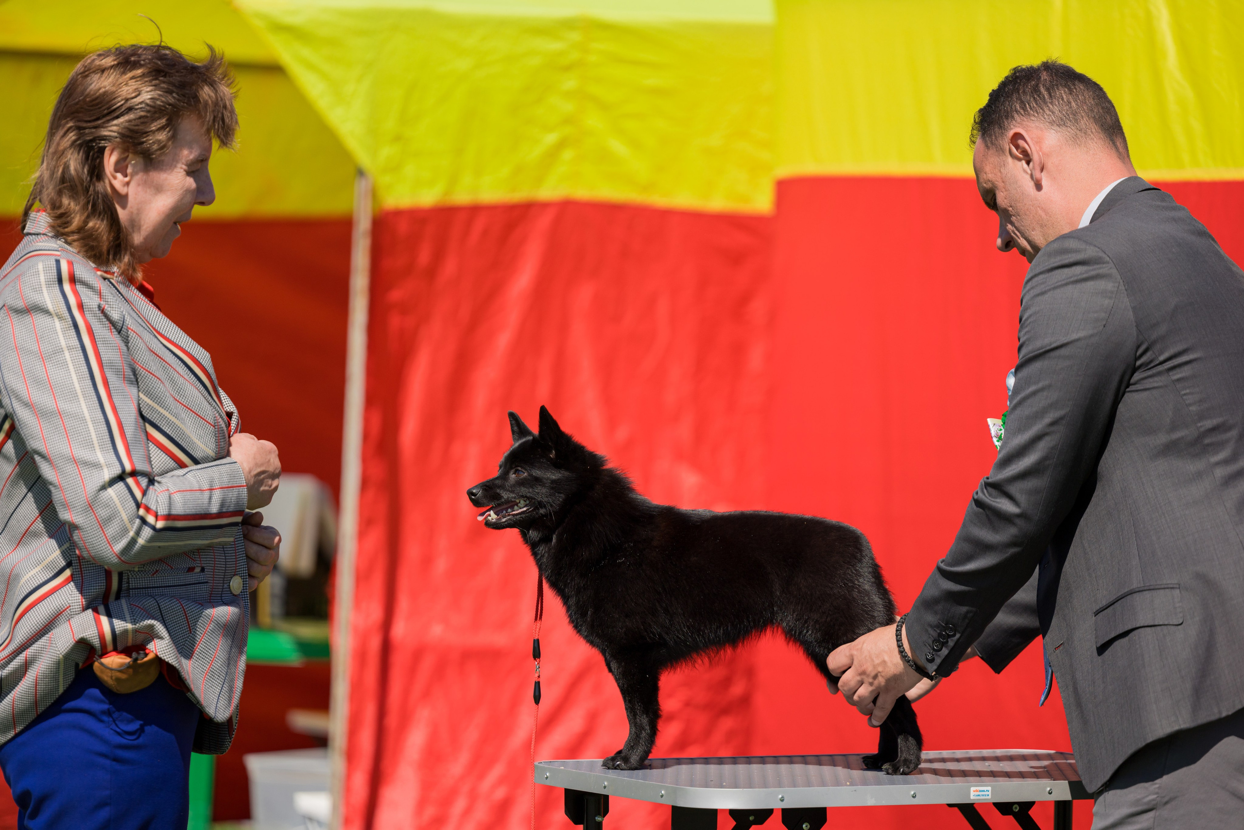 Суздаль 18-19.05.2024. Фотограф-анималист Юлия Германика