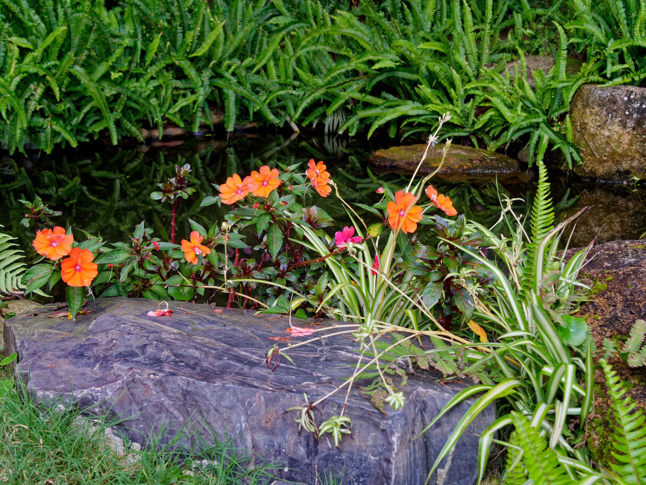 Далат 2023. Избранные фотографии