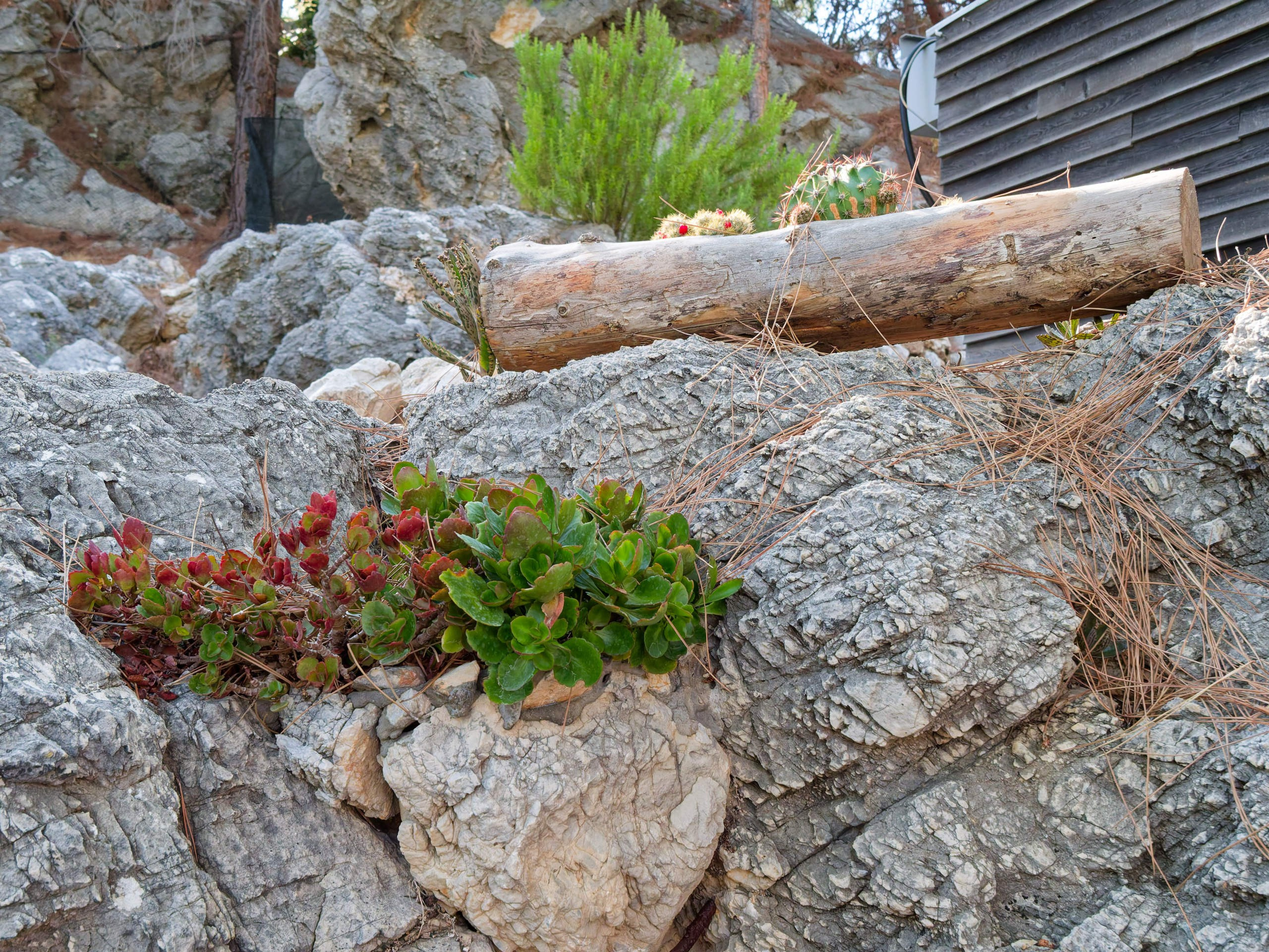 Алания 2025, крепость Alanya Kalesi. Избранные фотографии