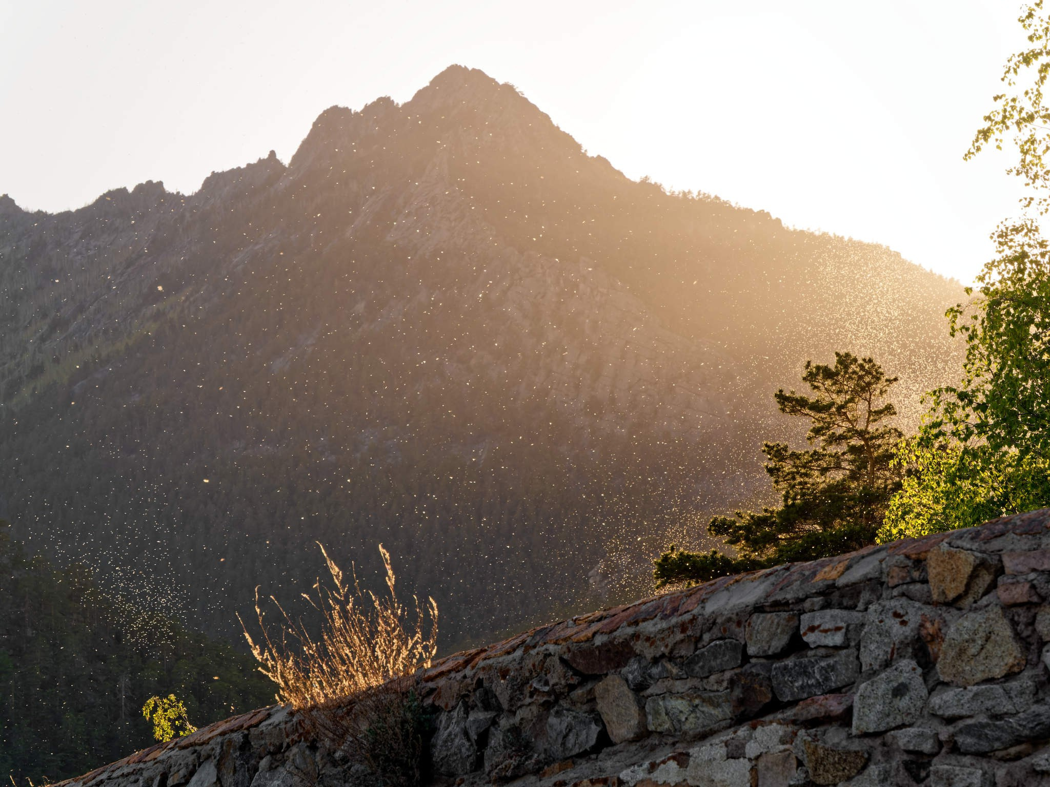 Боровое 2022 (из архива). Избранные фотографии