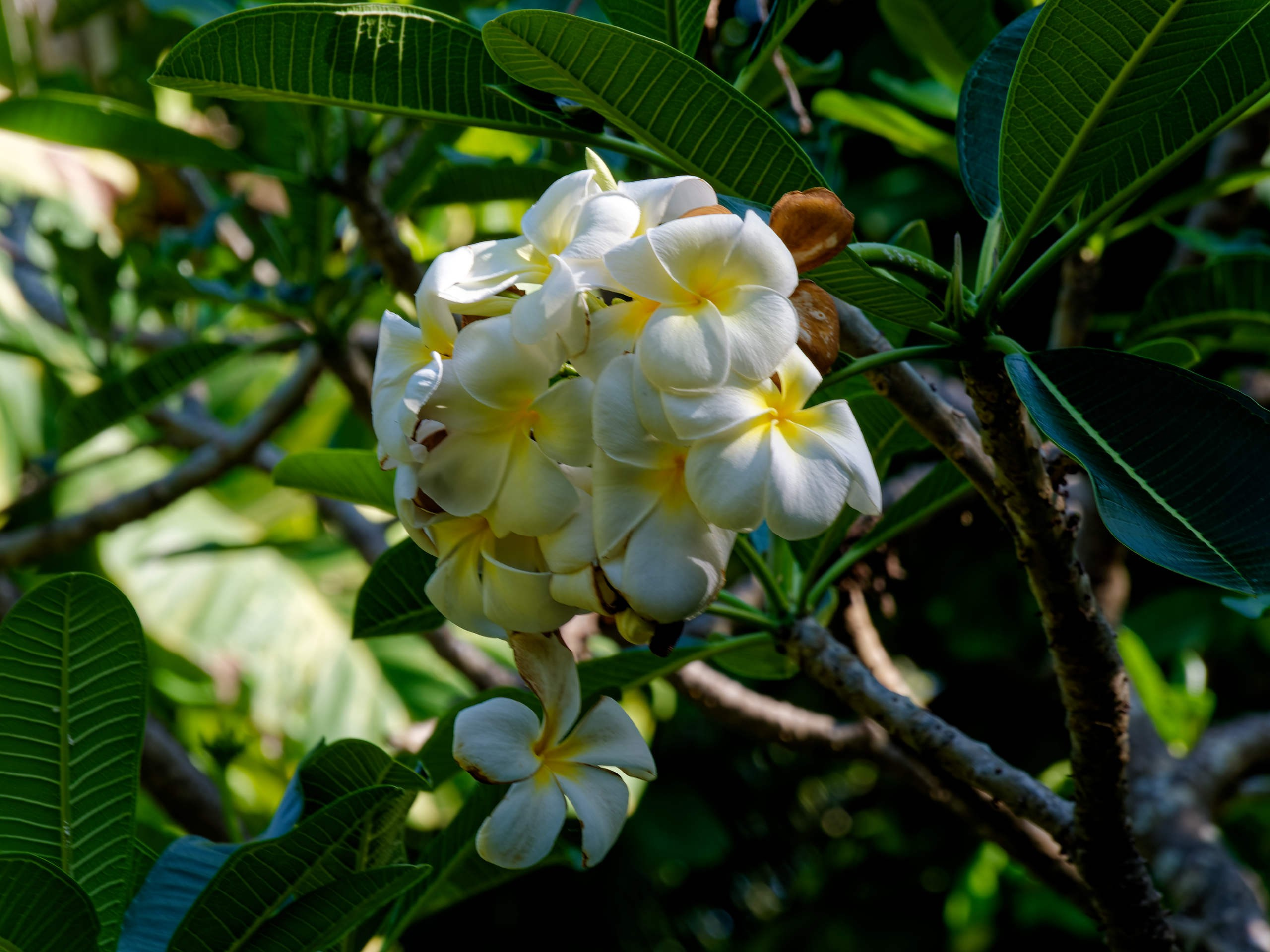 Нячанг 2025 (6). Избранные фотографии